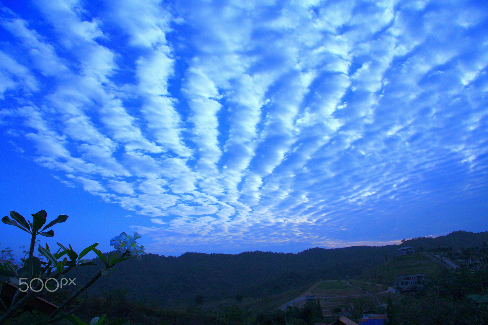 Canon EF-S 17-85mm F4-5.6 IS USM sample photo. Good morning photography