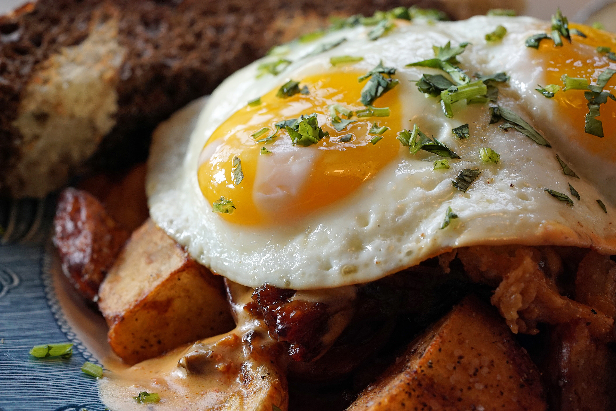 Sony a7S II + Sony FE 90mm F2.8 Macro G OSS sample photo. Sob bbq brisket hash fs photography