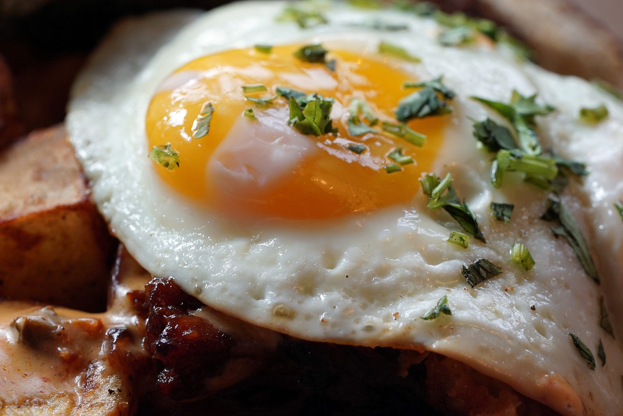 Sony a7S II + Sony FE 90mm F2.8 Macro G OSS sample photo. Sob bbq brisket hash fs photography