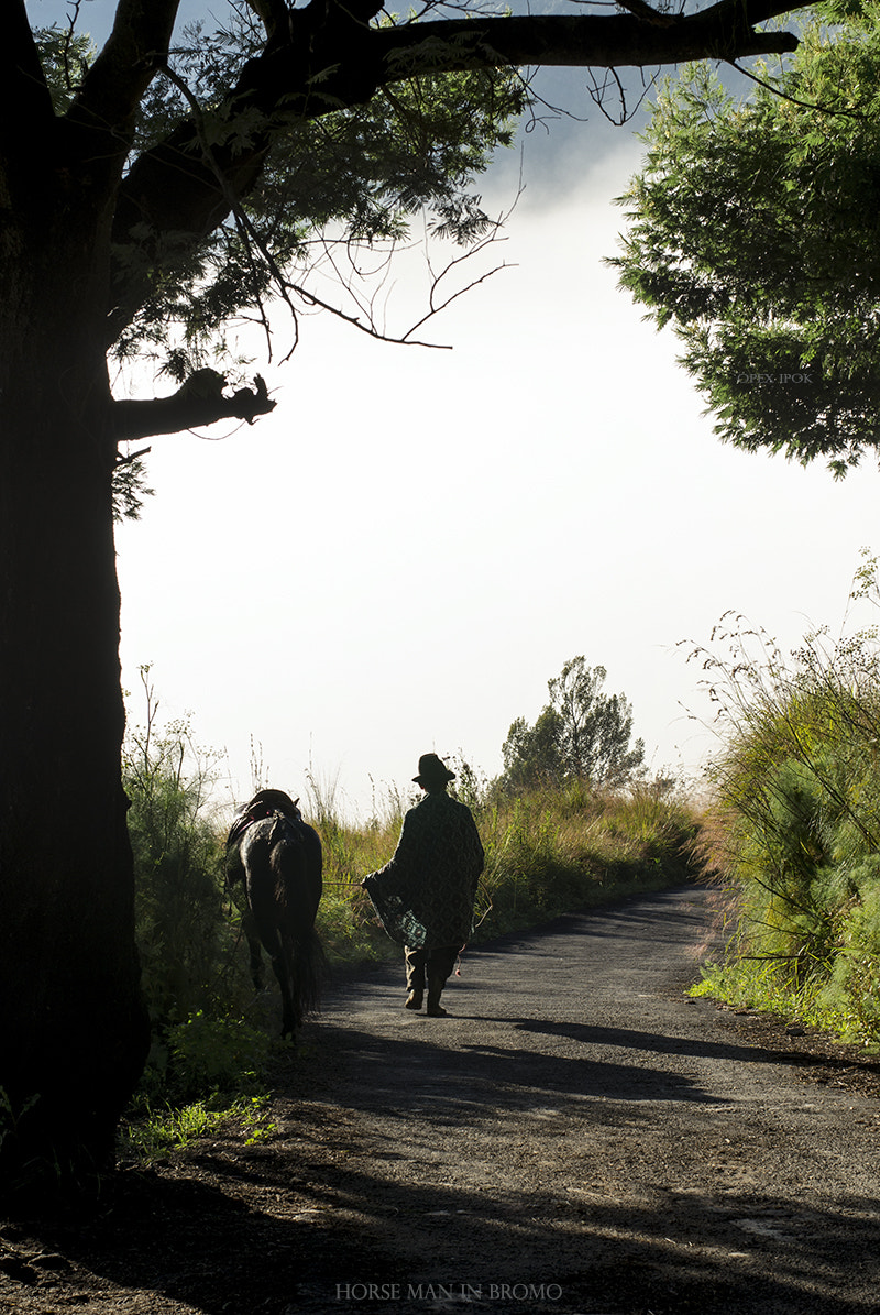 Nikon D7000 + AF Nikkor 50mm f/1.4 sample photo. Horse and man photography