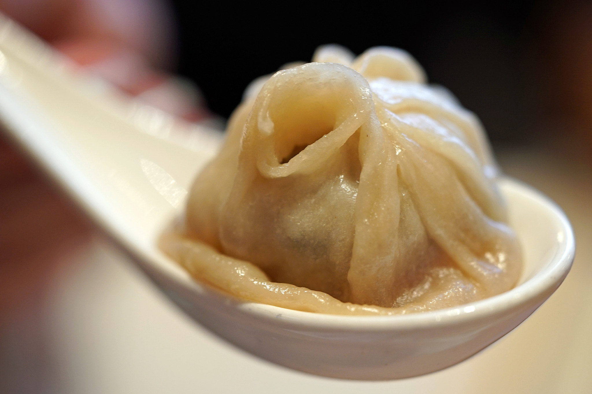 Sony a7S II + Sony FE 90mm F2.8 Macro G OSS sample photo. Soup dumplings photography