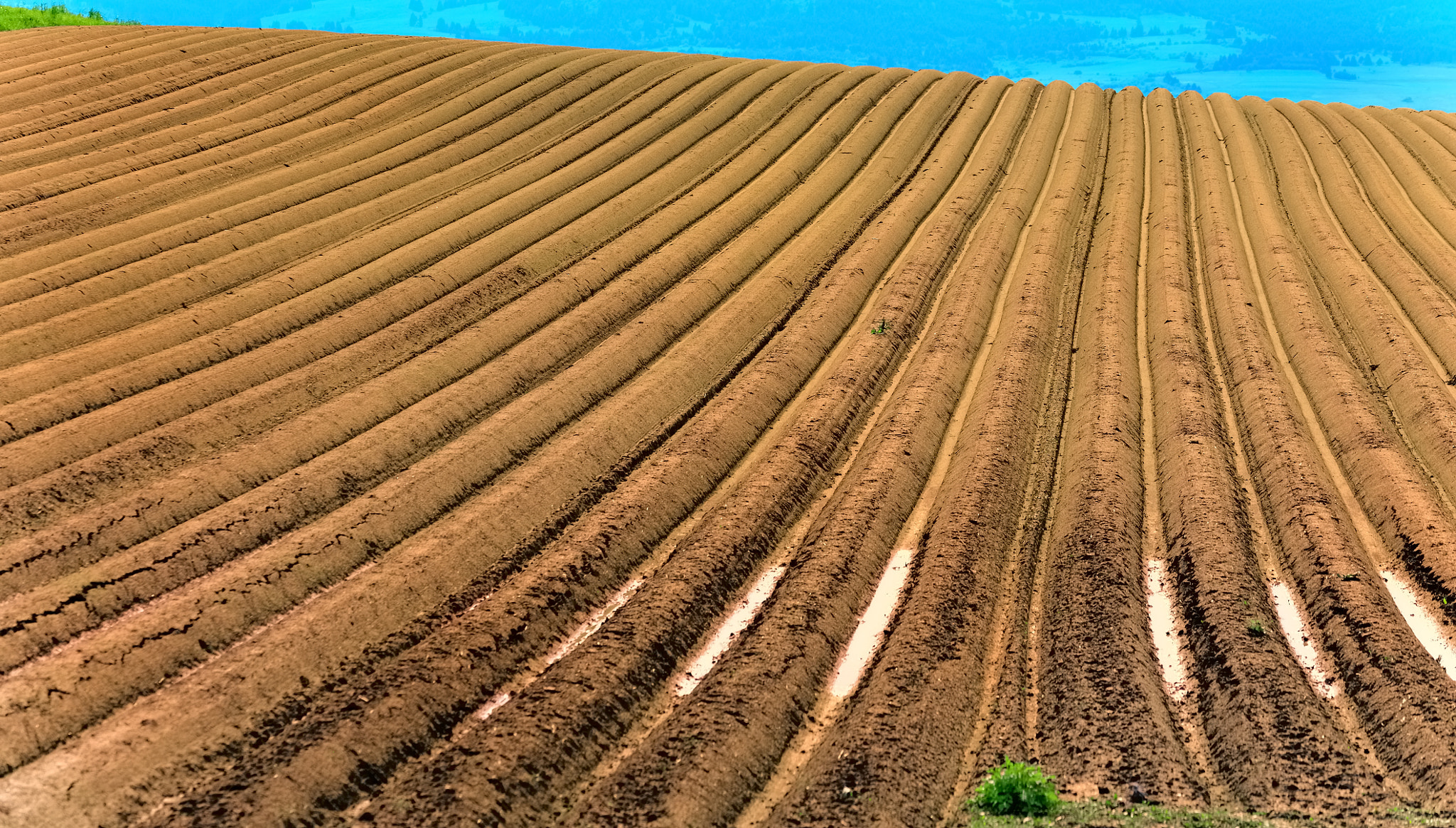 Sigma 105mm F2.8 EX DG OS HSM sample photo. Soil photography