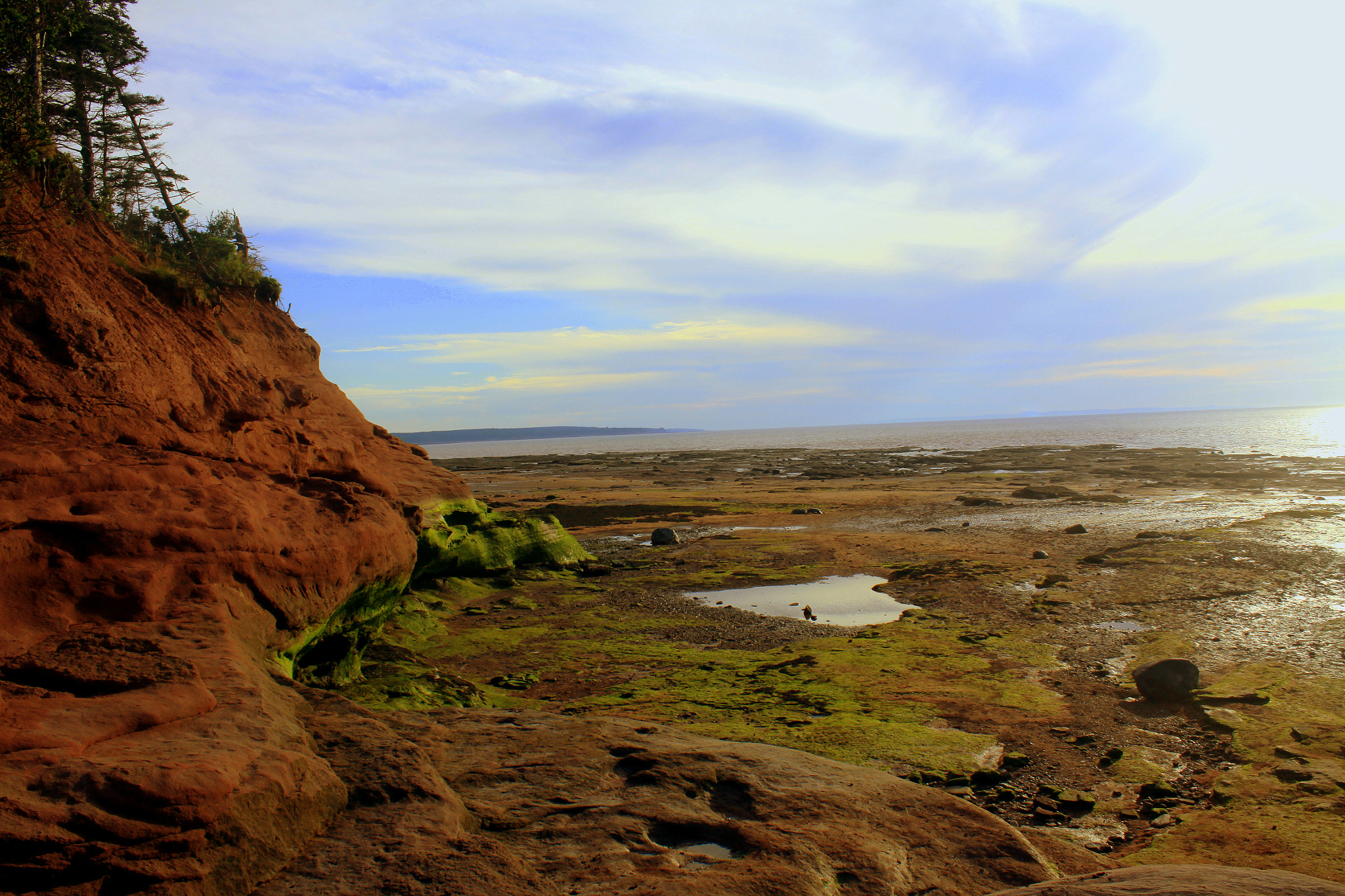Canon EOS 50D sample photo. The last evening in july photography