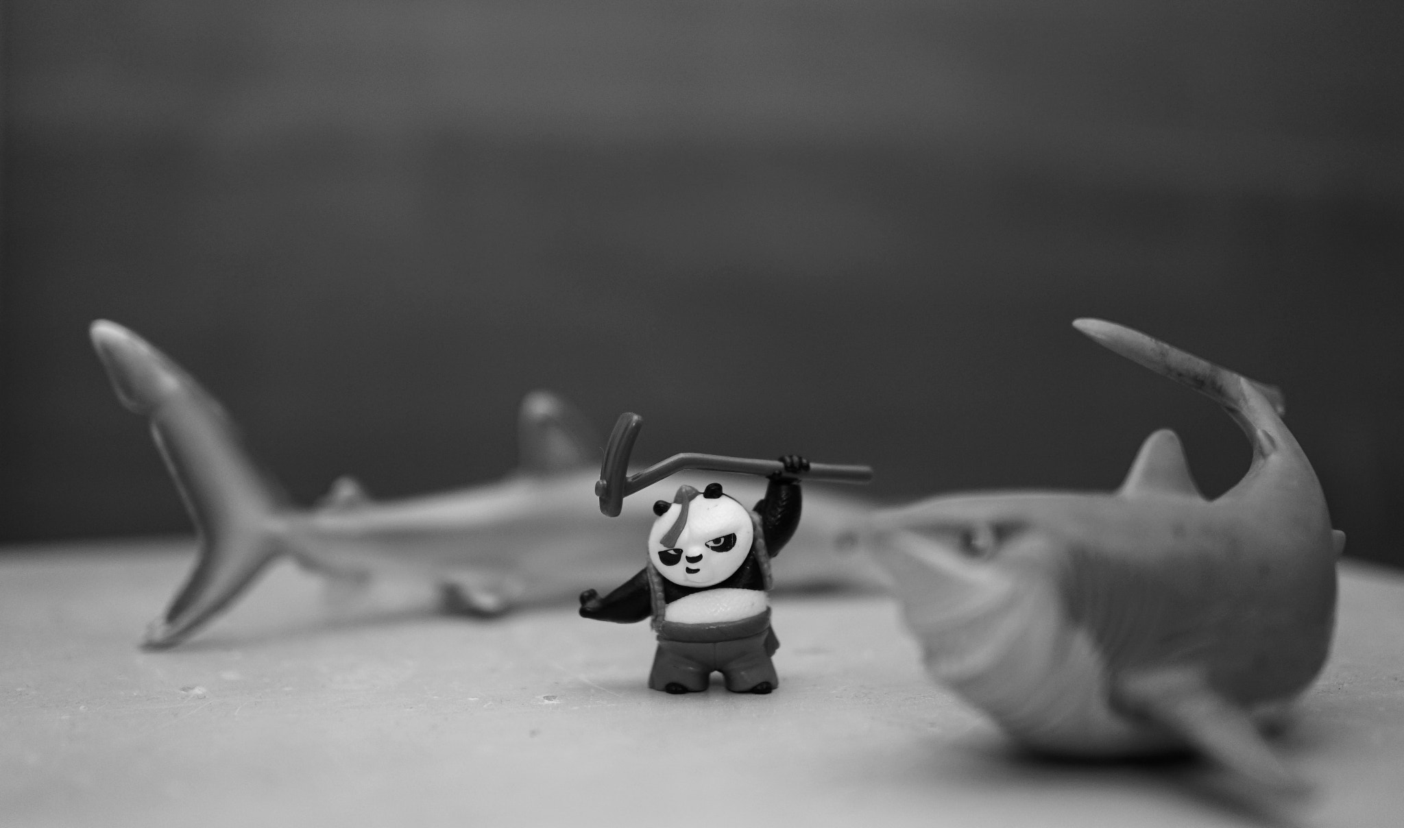 Sony Alpha a5000 (ILCE 5000) + Sony Sonnar T* E 24mm F1.8 ZA sample photo. Kung-fu hustle.jpg photography