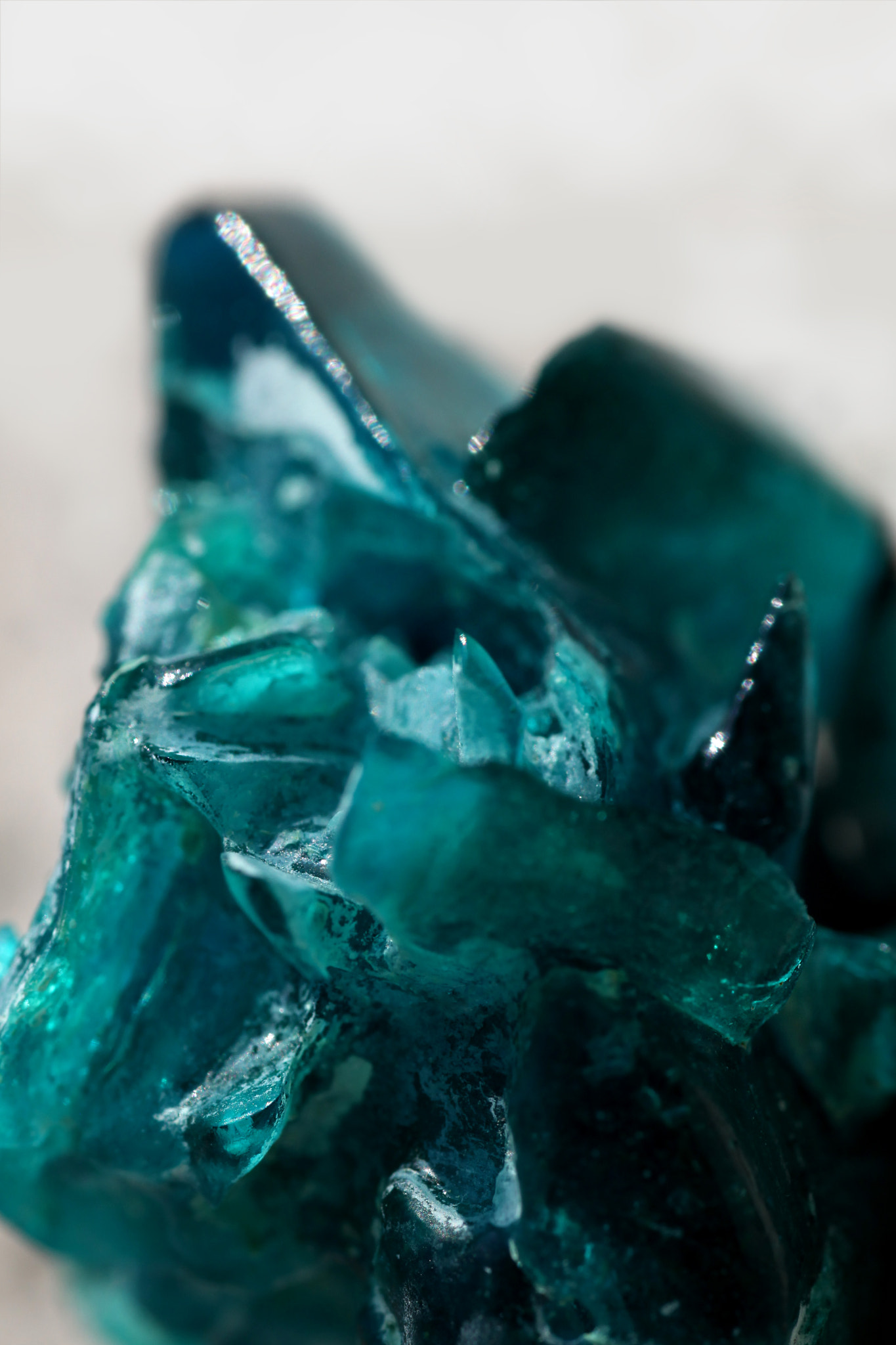 Canon EOS 5D Mark II + Tamron SP AF 90mm F2.8 Di Macro sample photo. Teal peaks photography