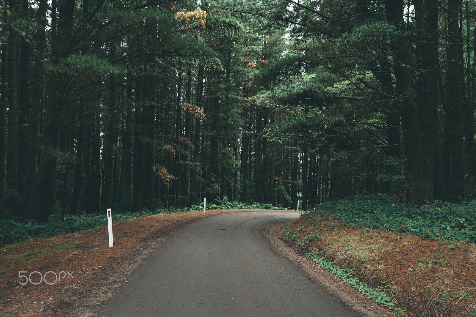 Sony a7R II + Sony FE 28-70mm F3.5-5.6 OSS sample photo. Backroads photography