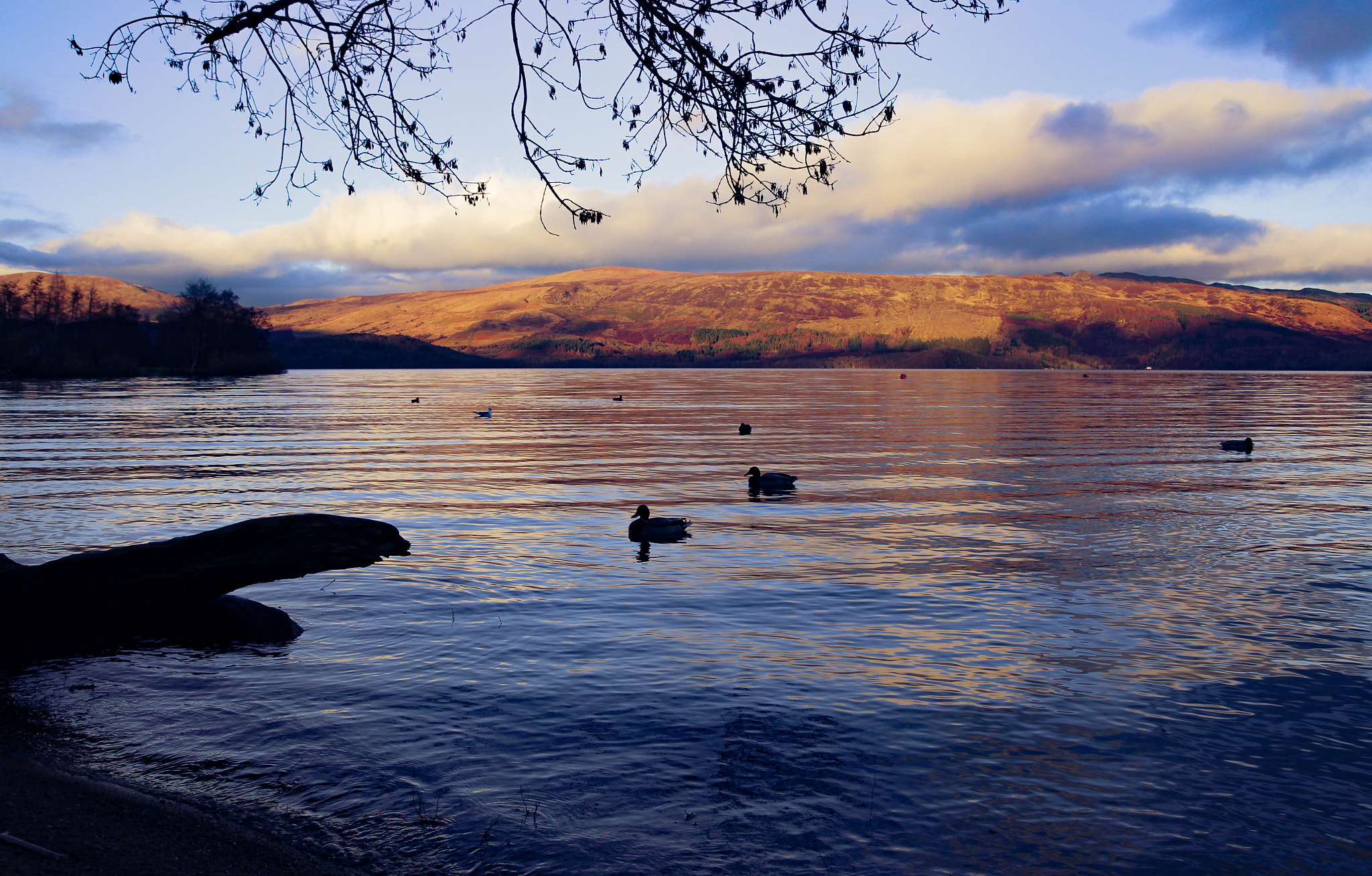 Tamron SP AF 17-50mm F2.8 XR Di II LD Aspherical (IF) sample photo. Loch lomond photography