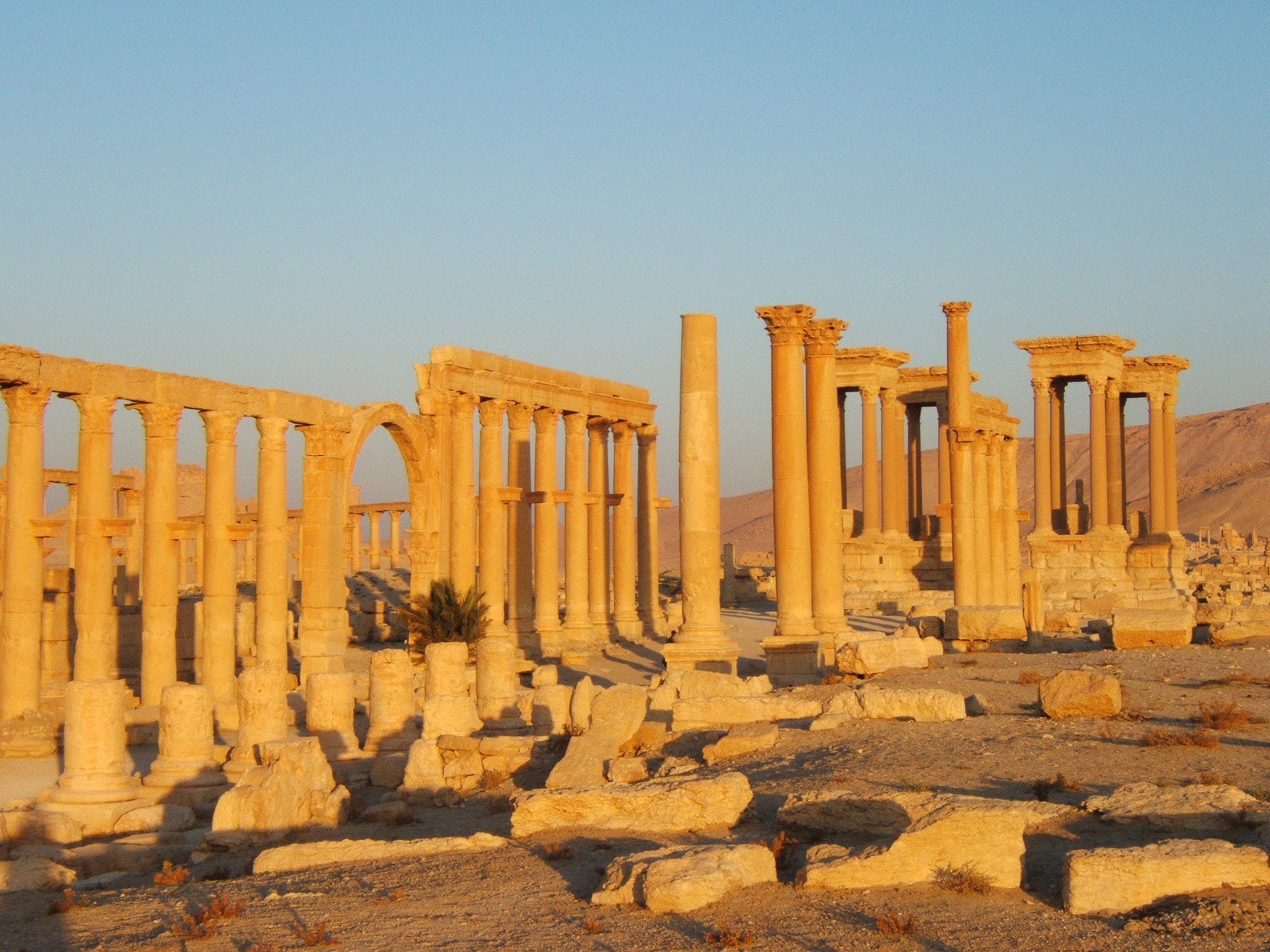 Fujifilm FinePix E510 sample photo. Palmyra (syria) ruins photography