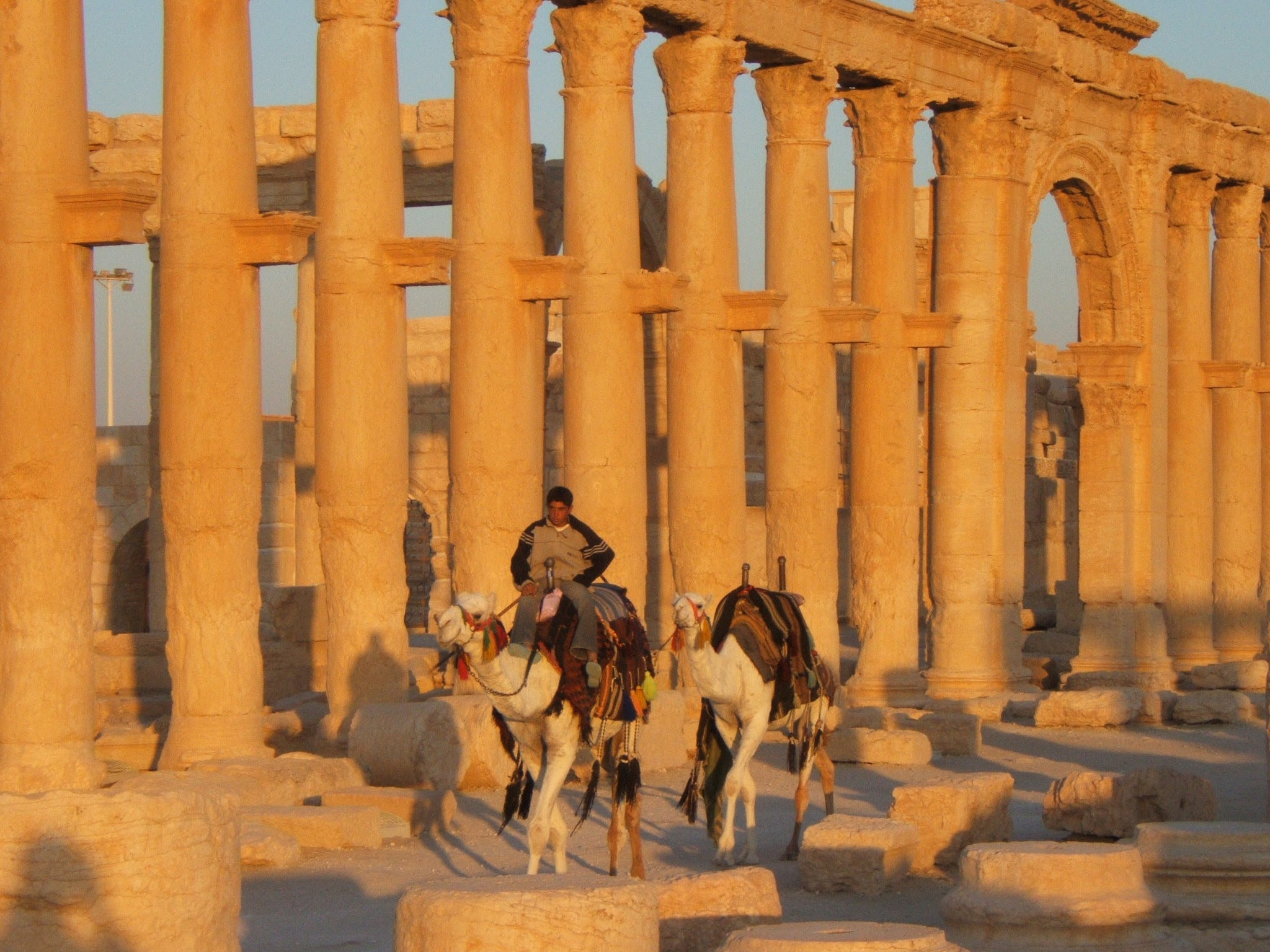 Fujifilm FinePix E510 sample photo. Palmyra (syria) ruins photography