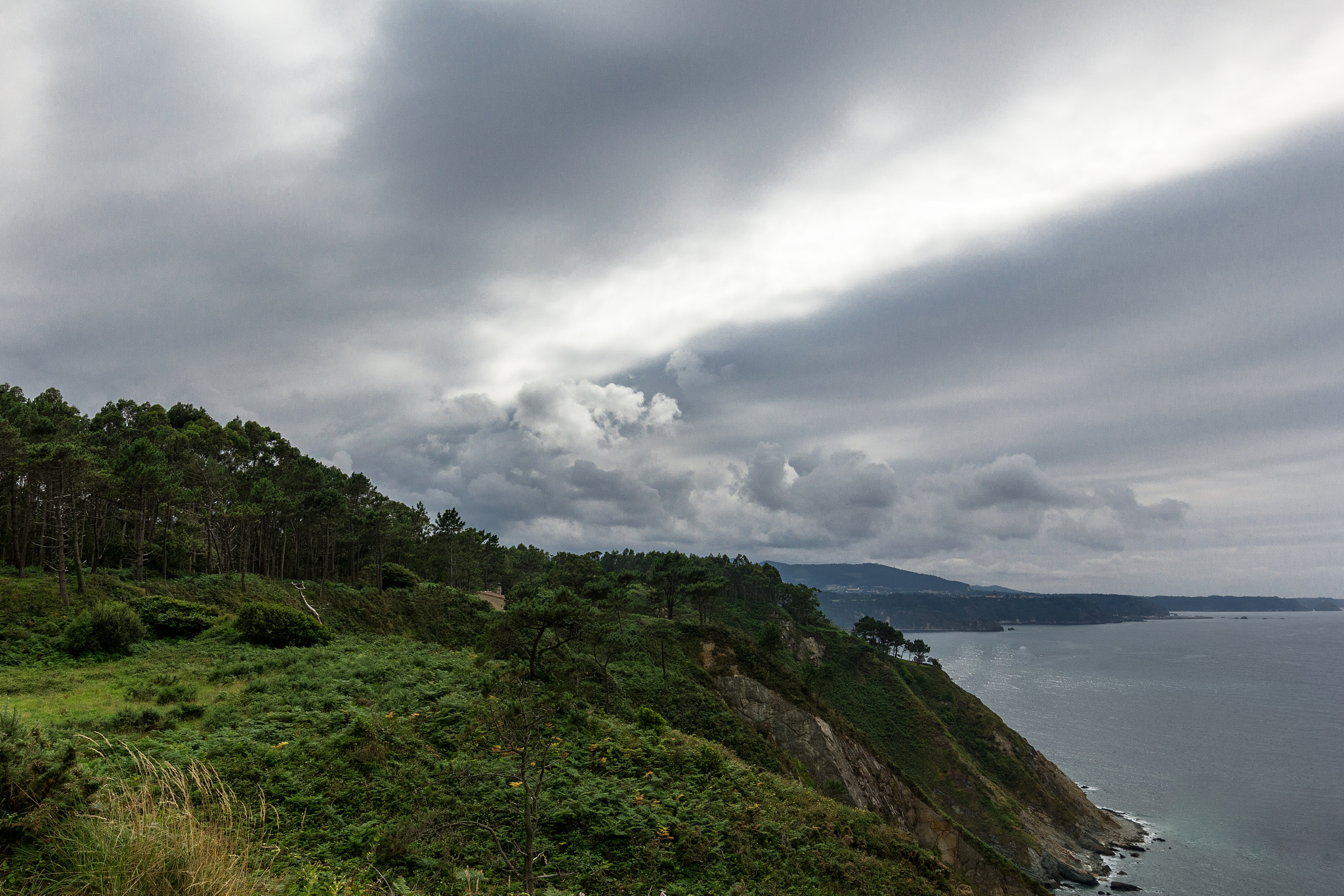 Canon EOS 60D + Canon EF 300mm f/2.8L sample photo. Forest hdr photography