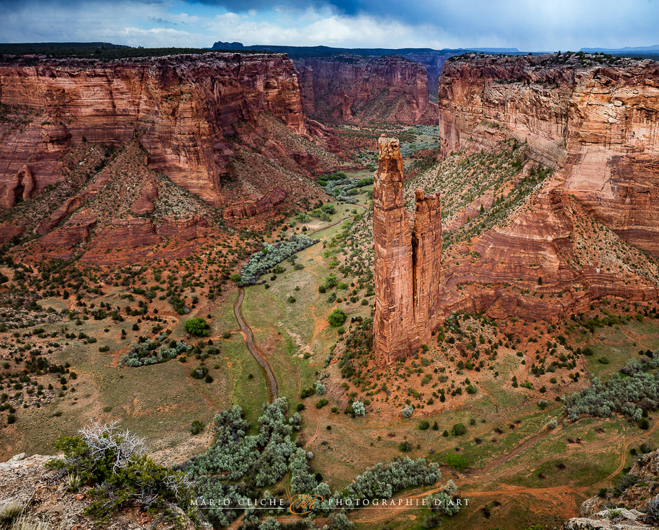 Canon EOS 5DS + Canon EF 24-70mm F2.8L USM sample photo. Spider rock photography