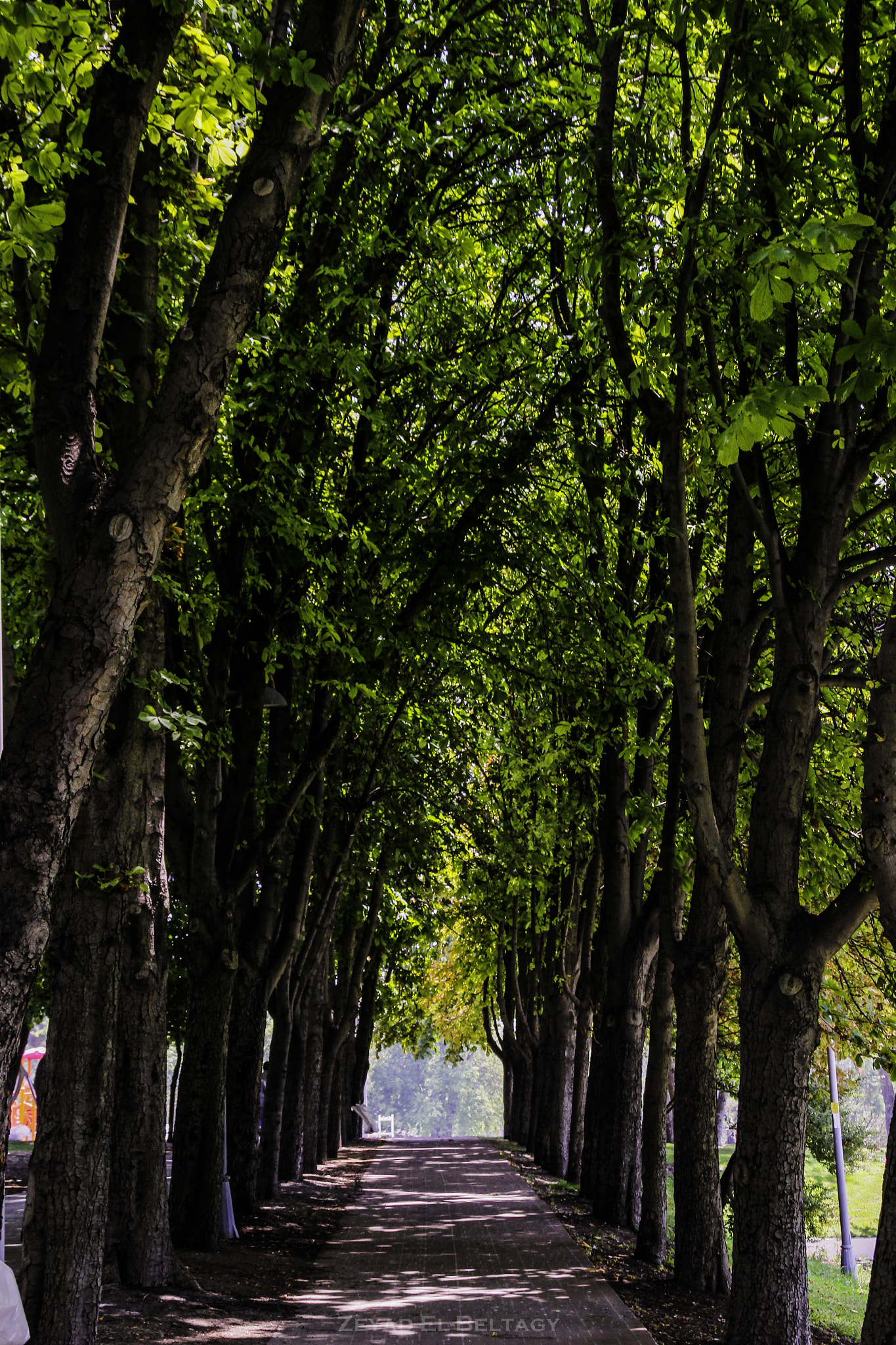 Canon EOS 600D (Rebel EOS T3i / EOS Kiss X5) + Canon TS-E 90mm F2.8 Tilt-Shift sample photo. Floria park - istanbul photography