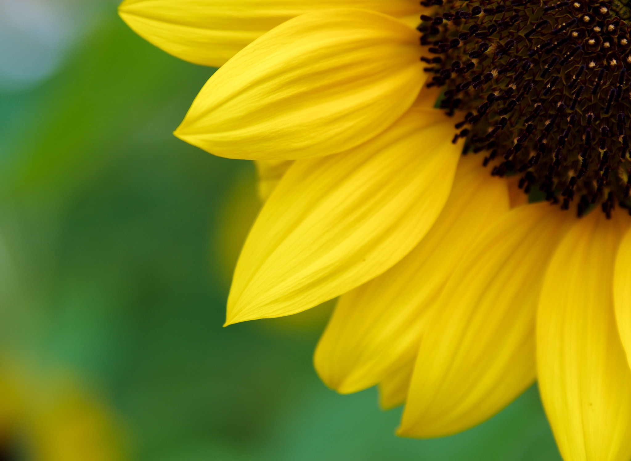 Tamron AF 28-75mm F2.8 XR Di LD Aspherical (IF) sample photo