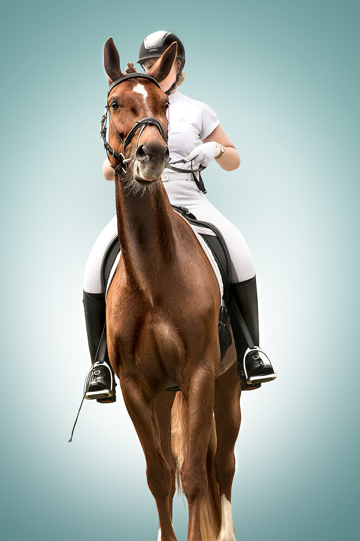 Canon EF 28-105mm f/3.5-4.5 USM sample photo. Pferd und reiter photography