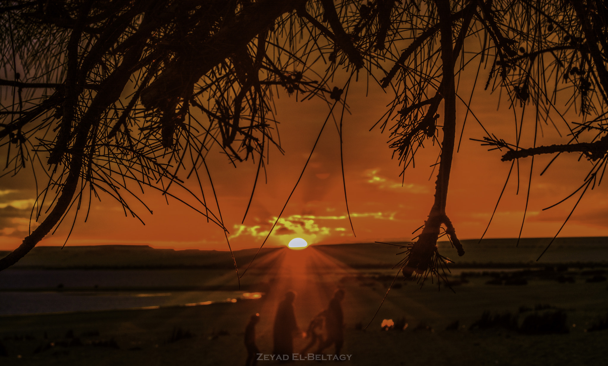 Nikon AF-S Nikkor 70-200mm F2.8G ED VR II sample photo. The sunset from "al-rayan" valley - fayoum-egypt photography