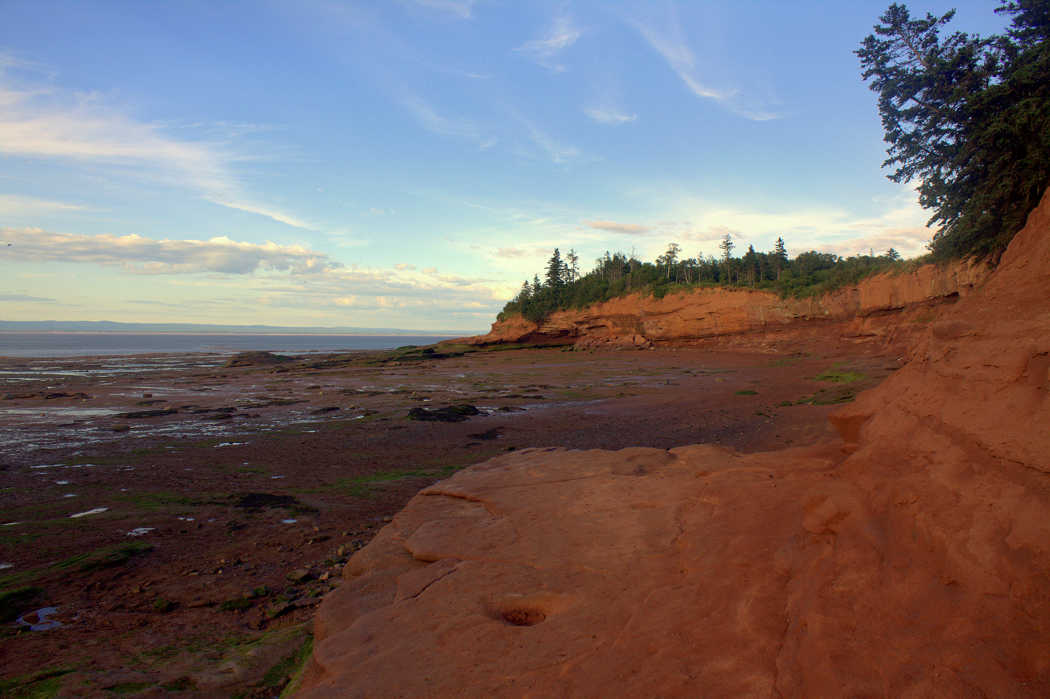 Canon EOS 50D sample photo. Walking the ocean floor photography