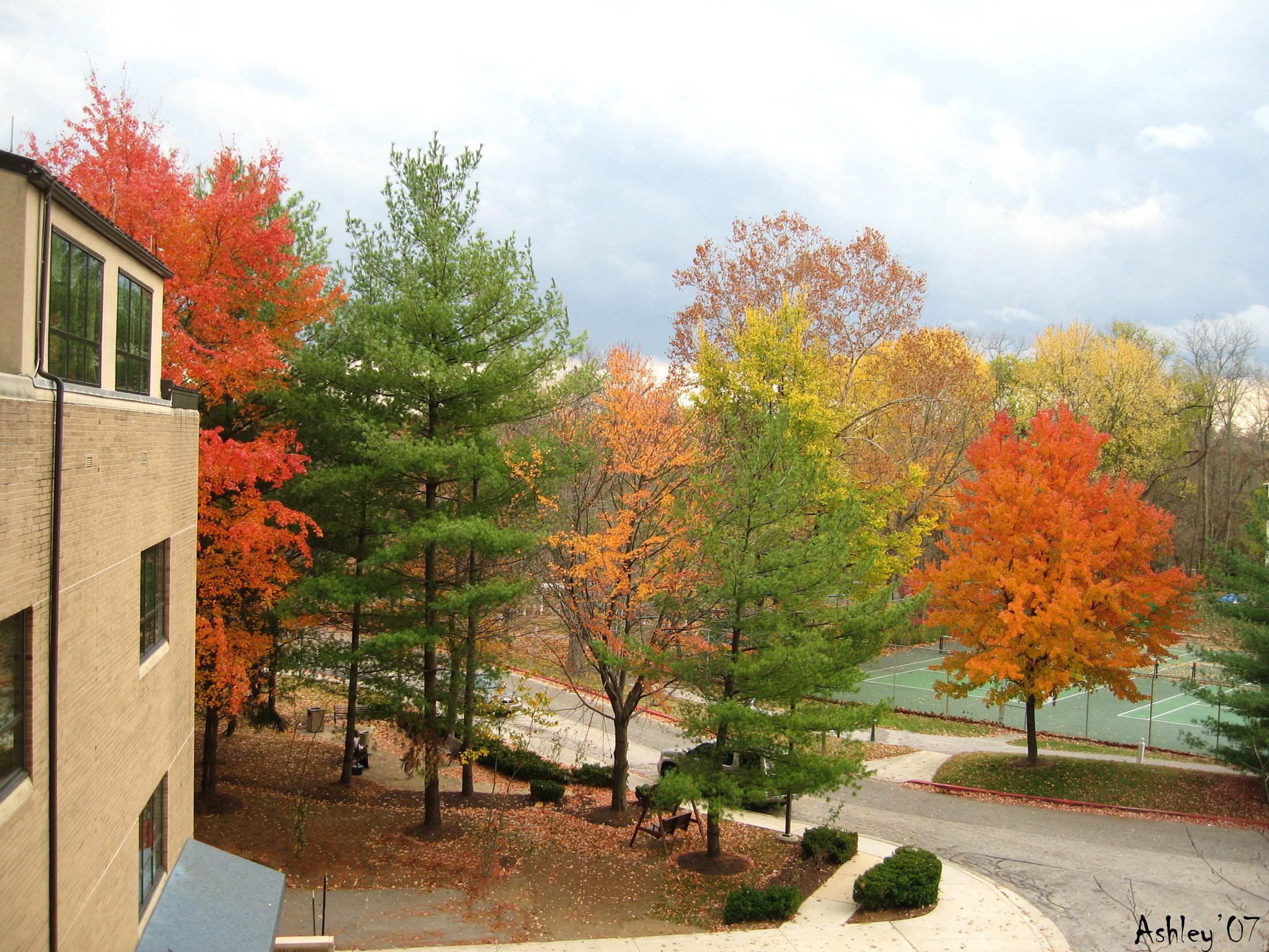 Canon POWERSHOT SD550 sample photo. Autumn leaves in maryland photography