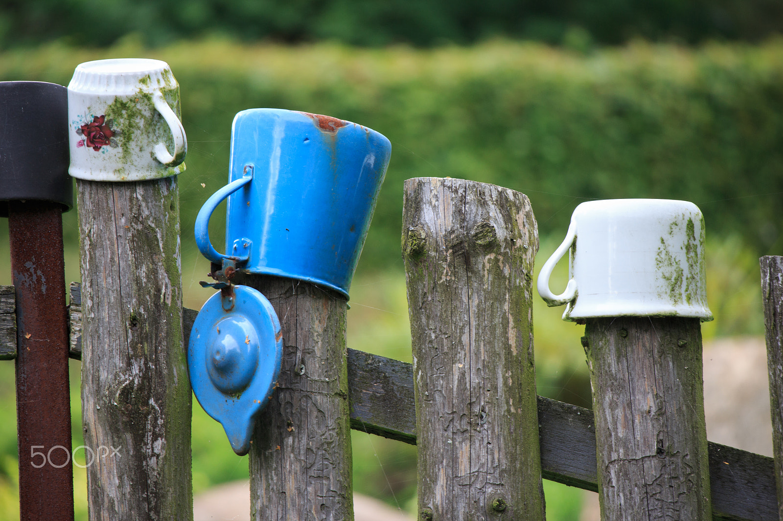 Canon EOS M sample photo. Cups hanging on the fence photography