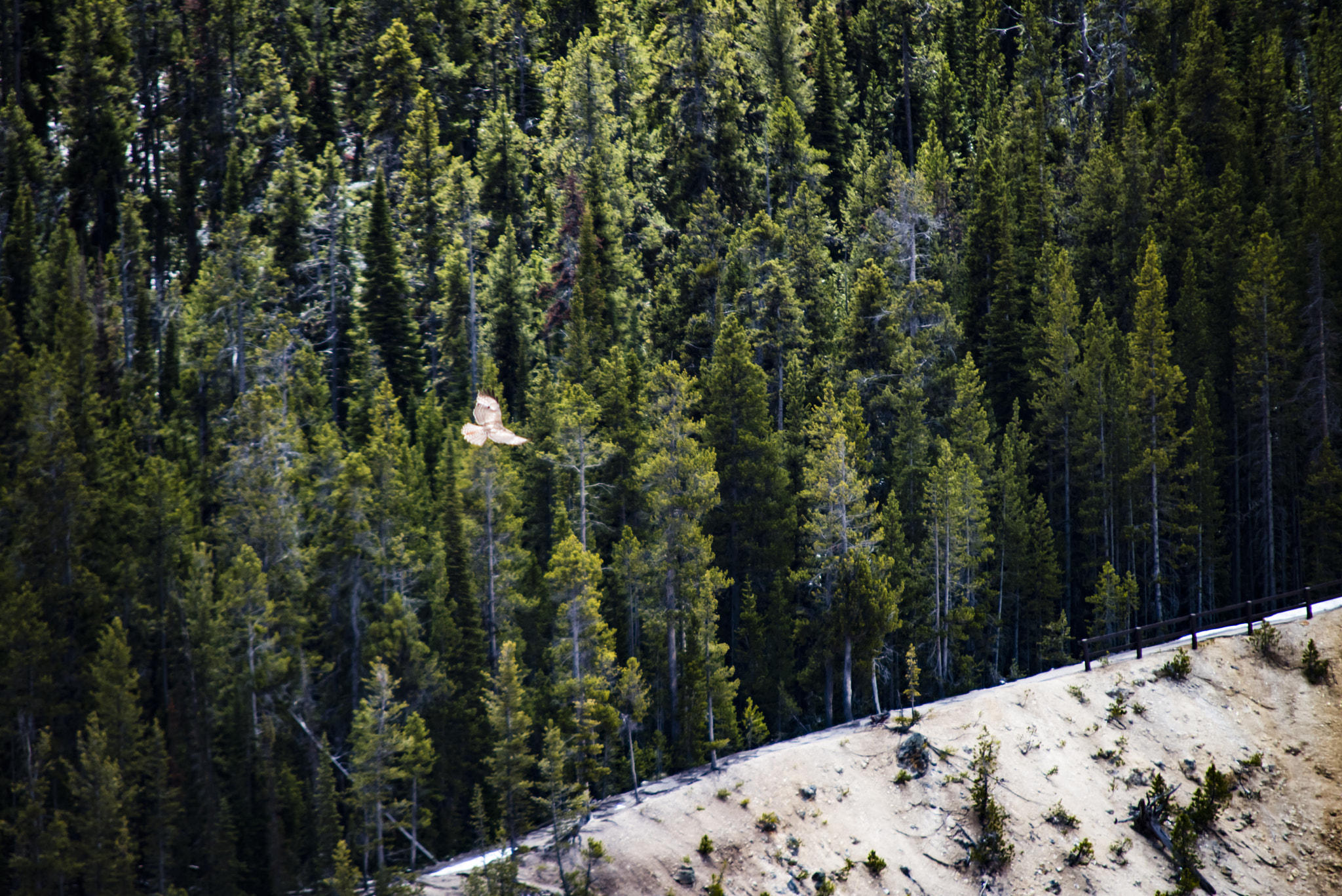 Sigma APO 100-300mm F4 EX IF HSM + 1.4x sample photo. Flying over grand canyon photography