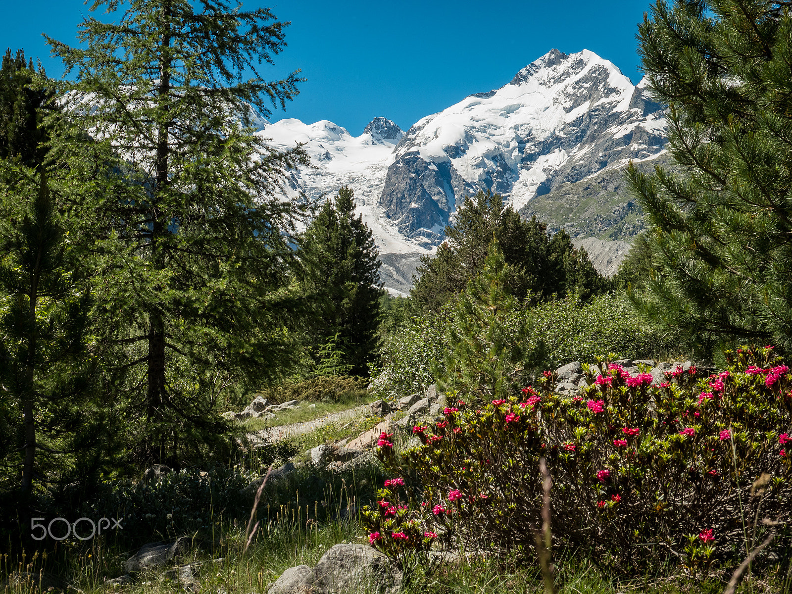 LUMIX G VARIO 14-42/F3.5-5.6 II sample photo. Morteratsch galcier photography