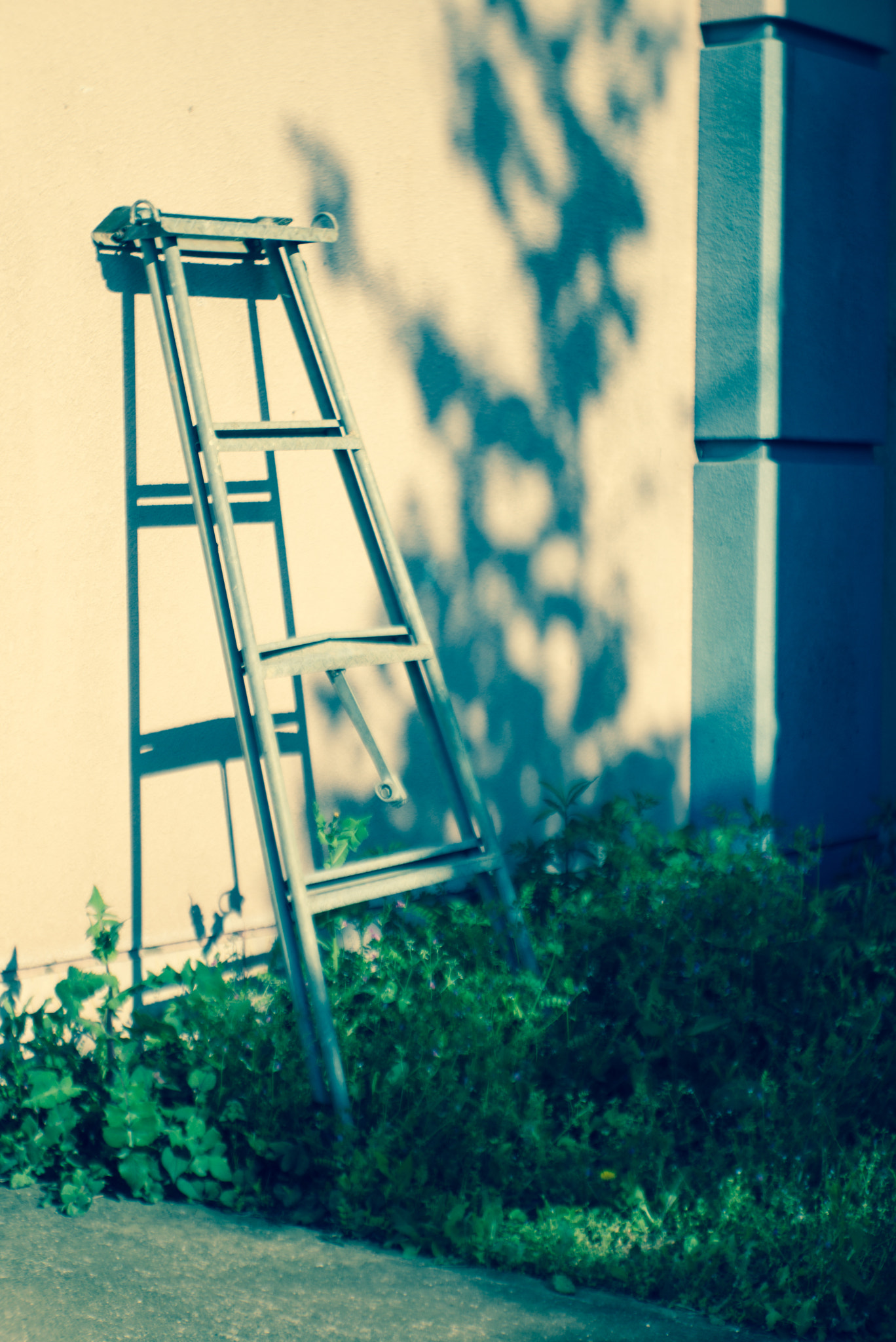 Summicron-M 1:2/35 sample photo. Stepladder photography