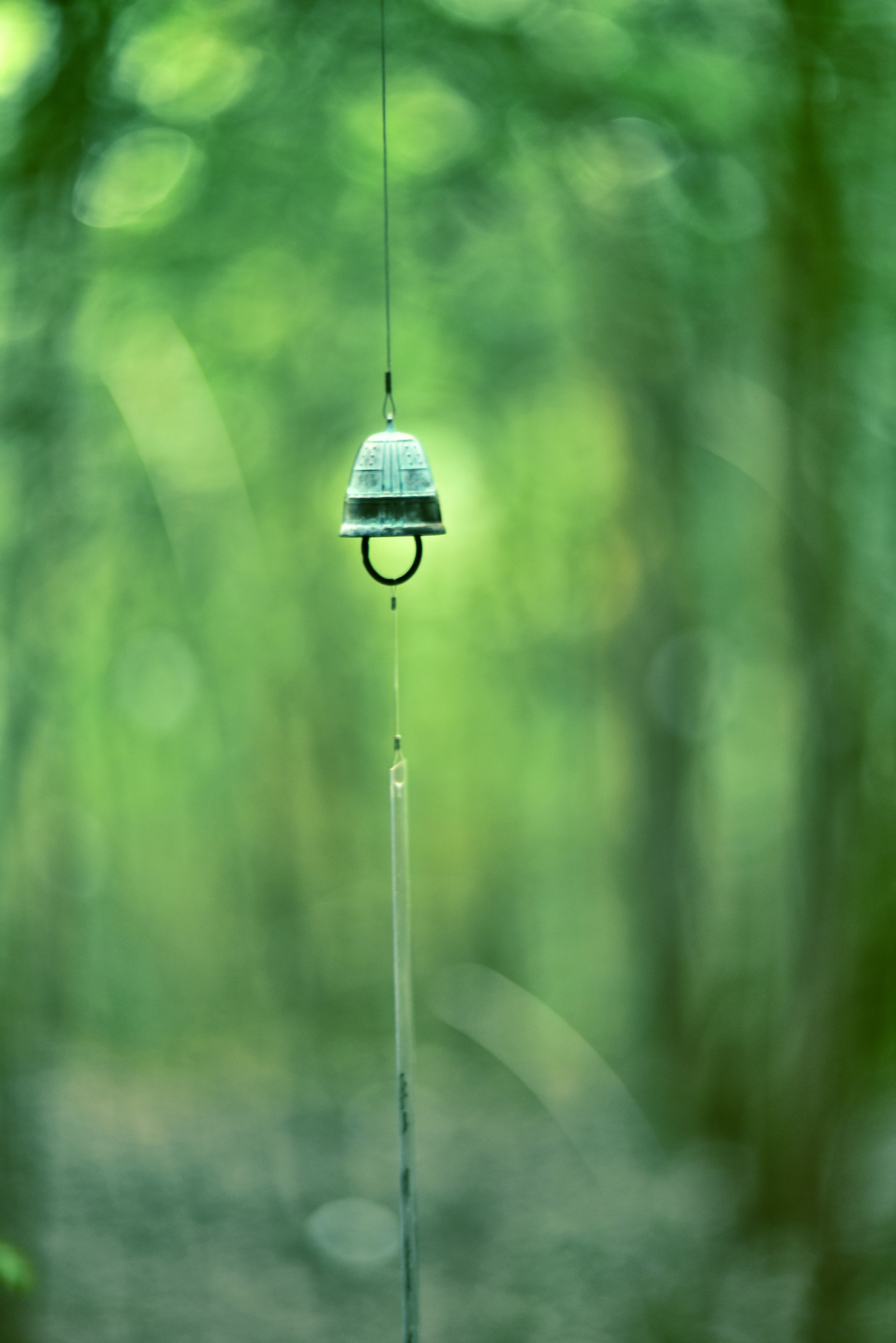 Manual Lens No CPU sample photo. Sound of life photography