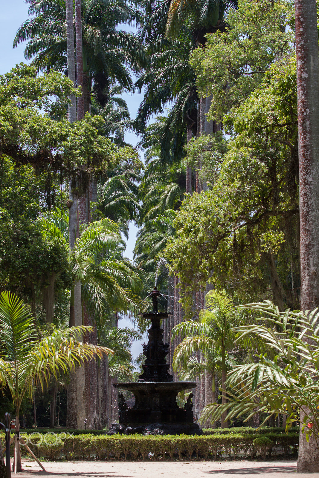 Canon EOS 50D sample photo. Fountain,jardim botanico photography