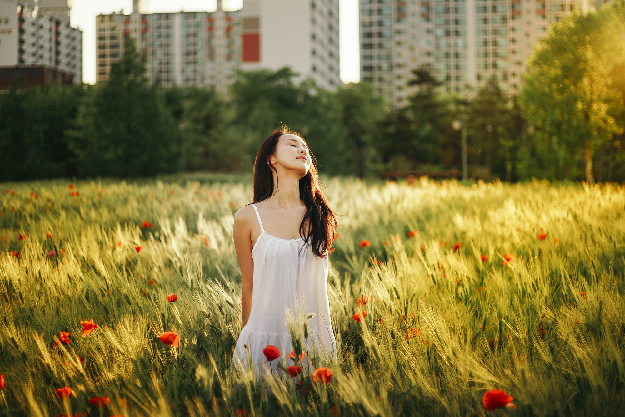 50mm F1.8 OSS sample photo. A photography