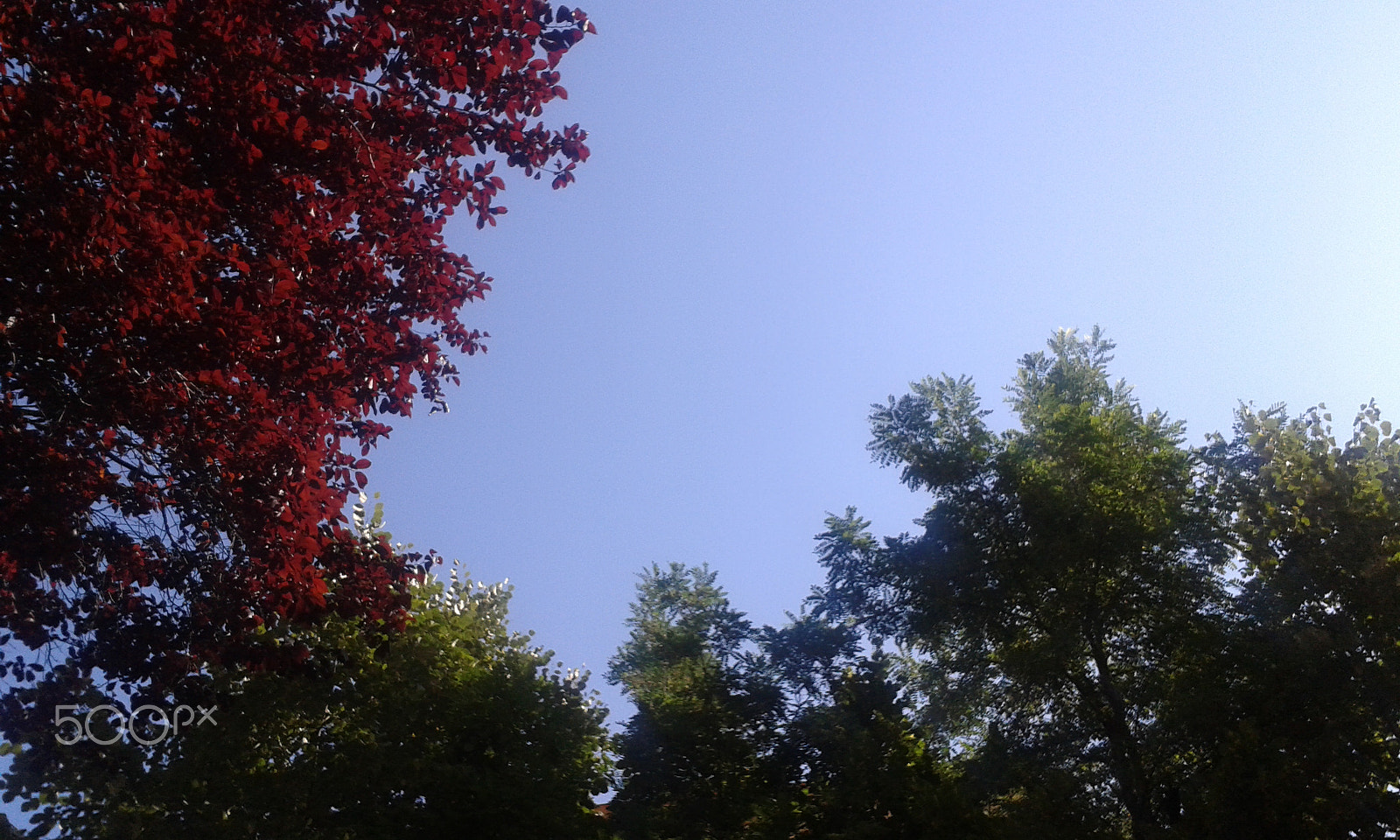 Samsung Galaxy Trend Plus sample photo. Kronstadt photography