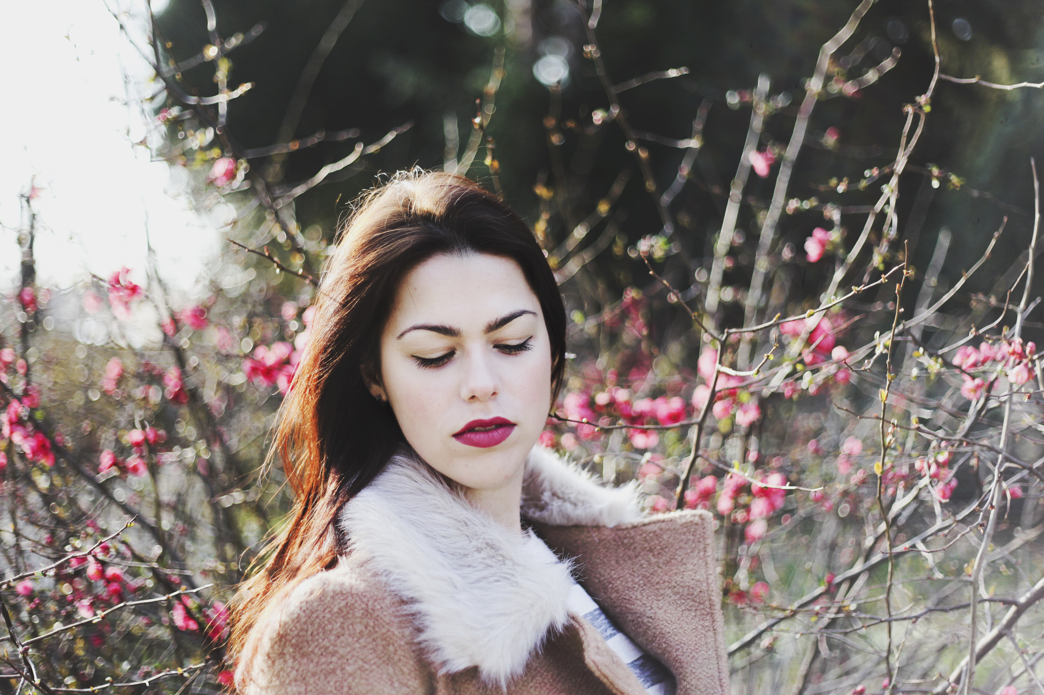 Canon EOS 5D Mark II + Canon EF 50mm F1.8 II sample photo. Alexandra photography