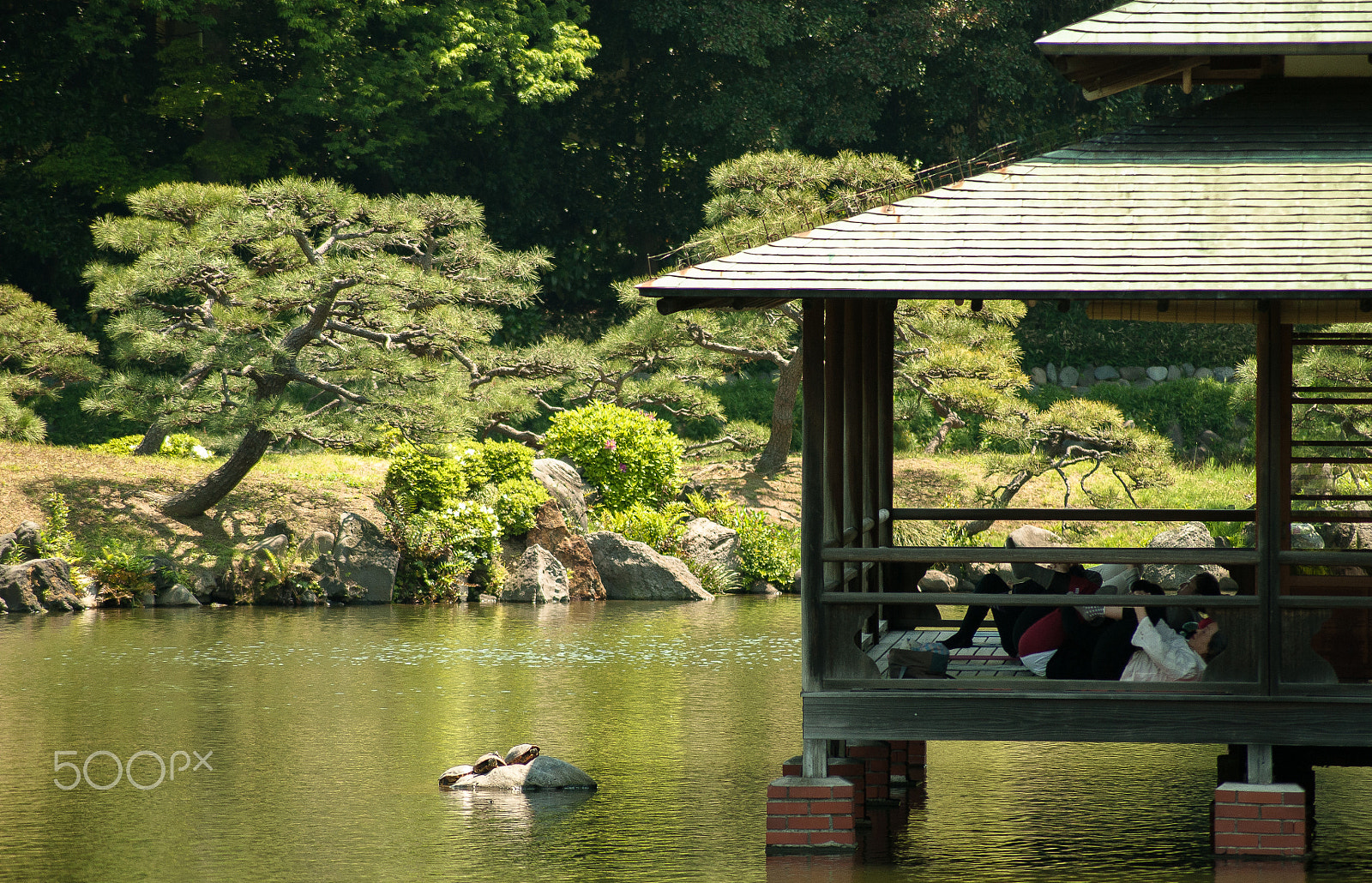 Sony Alpha DSLR-A350 + Sony DT 55-200mm F4-5.6 SAM sample photo. Japan2013jd photography