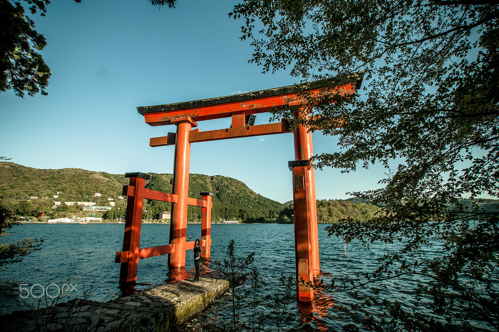 Sony DT 11-18mm F4.5-5.6 sample photo. Japan2013jd photography
