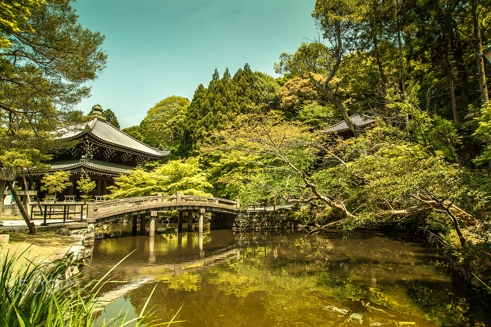 Sony Alpha DSLR-A350 sample photo. Japan2013jd photography