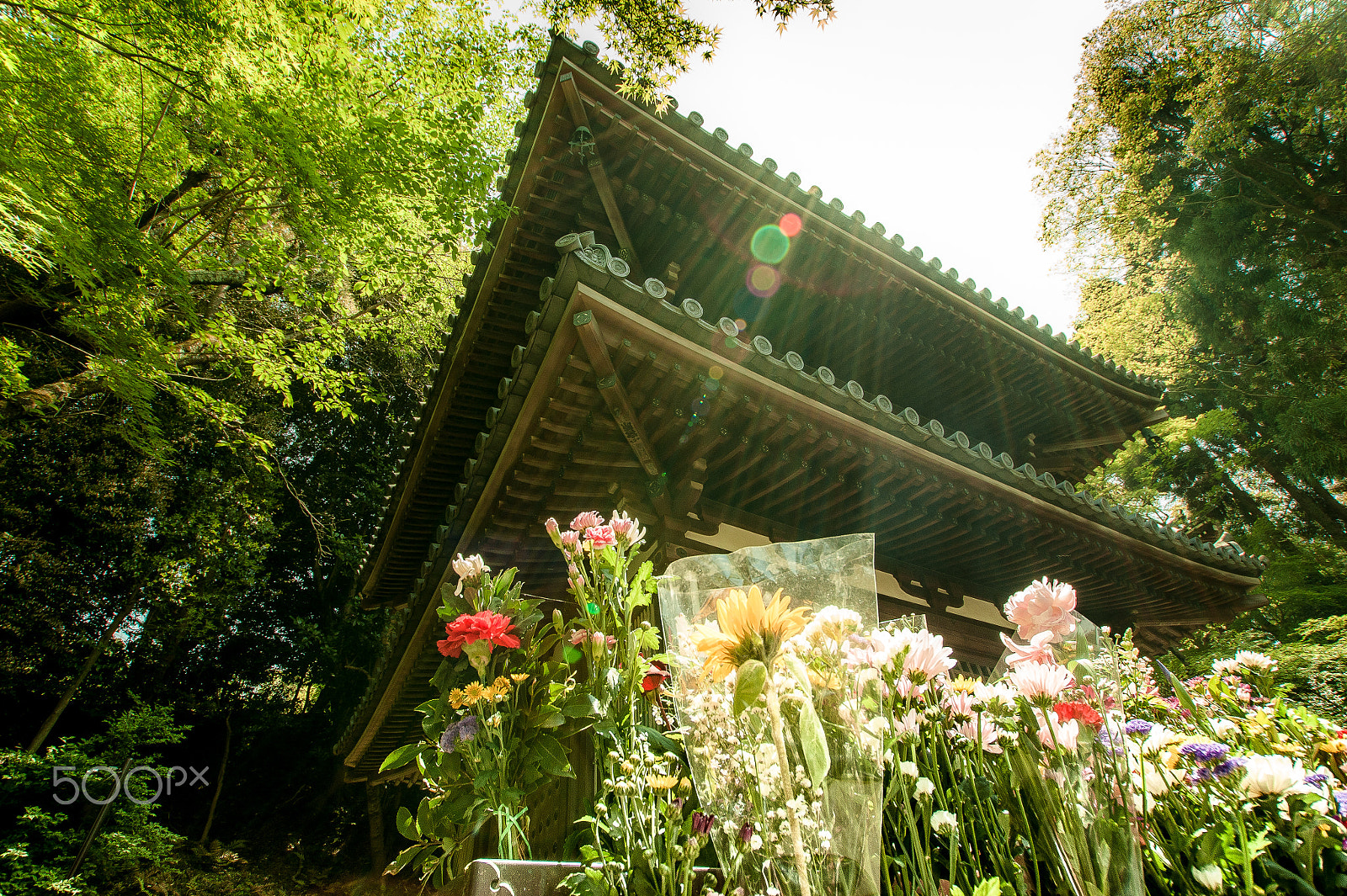 Sony DT 11-18mm F4.5-5.6 sample photo. Japan2013jd photography