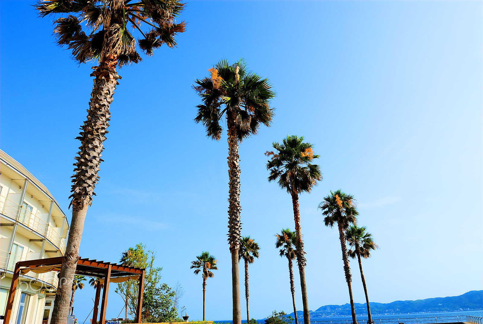 Nikon D200 sample photo. Summer coast photography