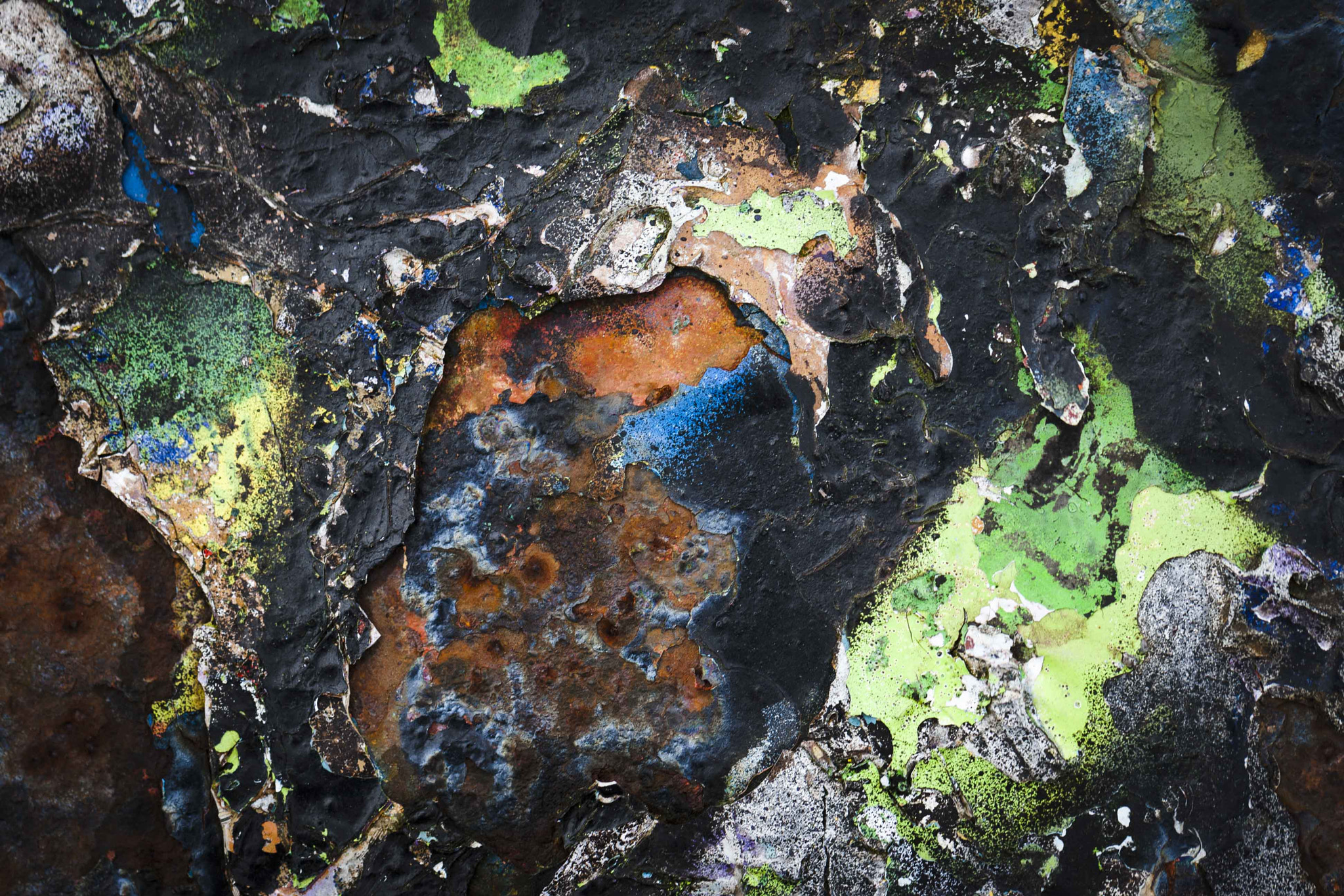 Canon EOS-1D Mark III sample photo. The universe on earth photography