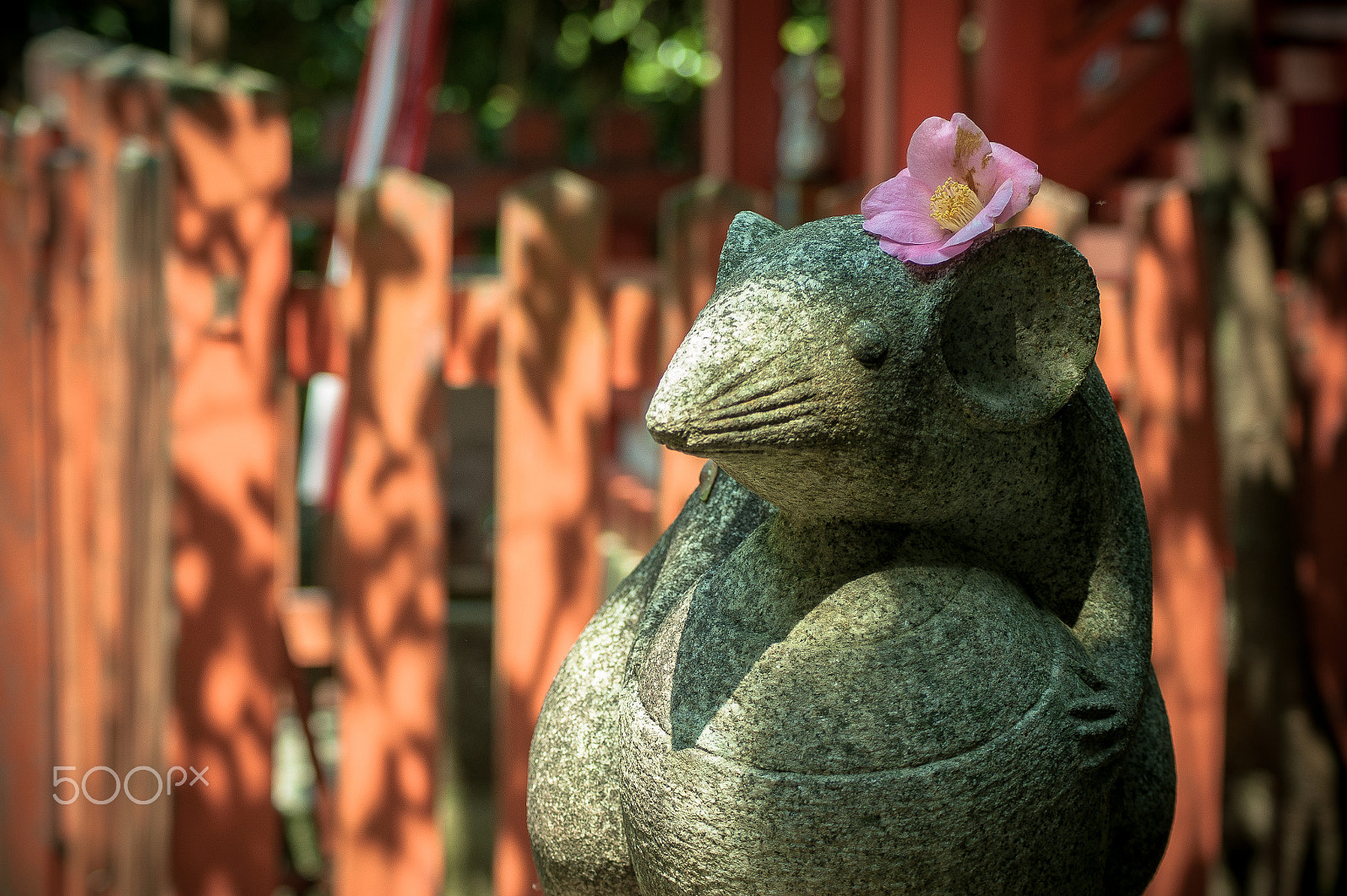Sony DT 55-200mm F4-5.6 SAM sample photo. Japan2013jd photography