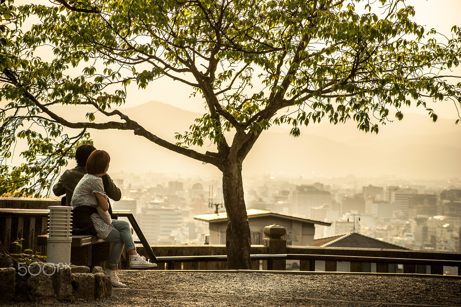 Sony DT 55-200mm F4-5.6 SAM sample photo. Japan2013jd photography