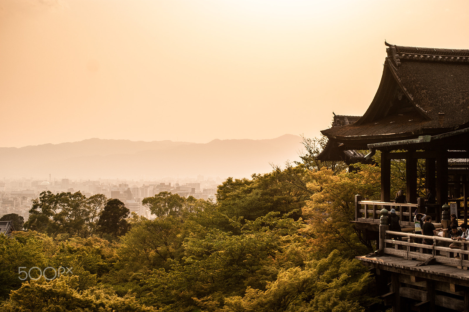 Sony Alpha DSLR-A350 + Sony DT 55-200mm F4-5.6 SAM sample photo. Japan2013jd photography