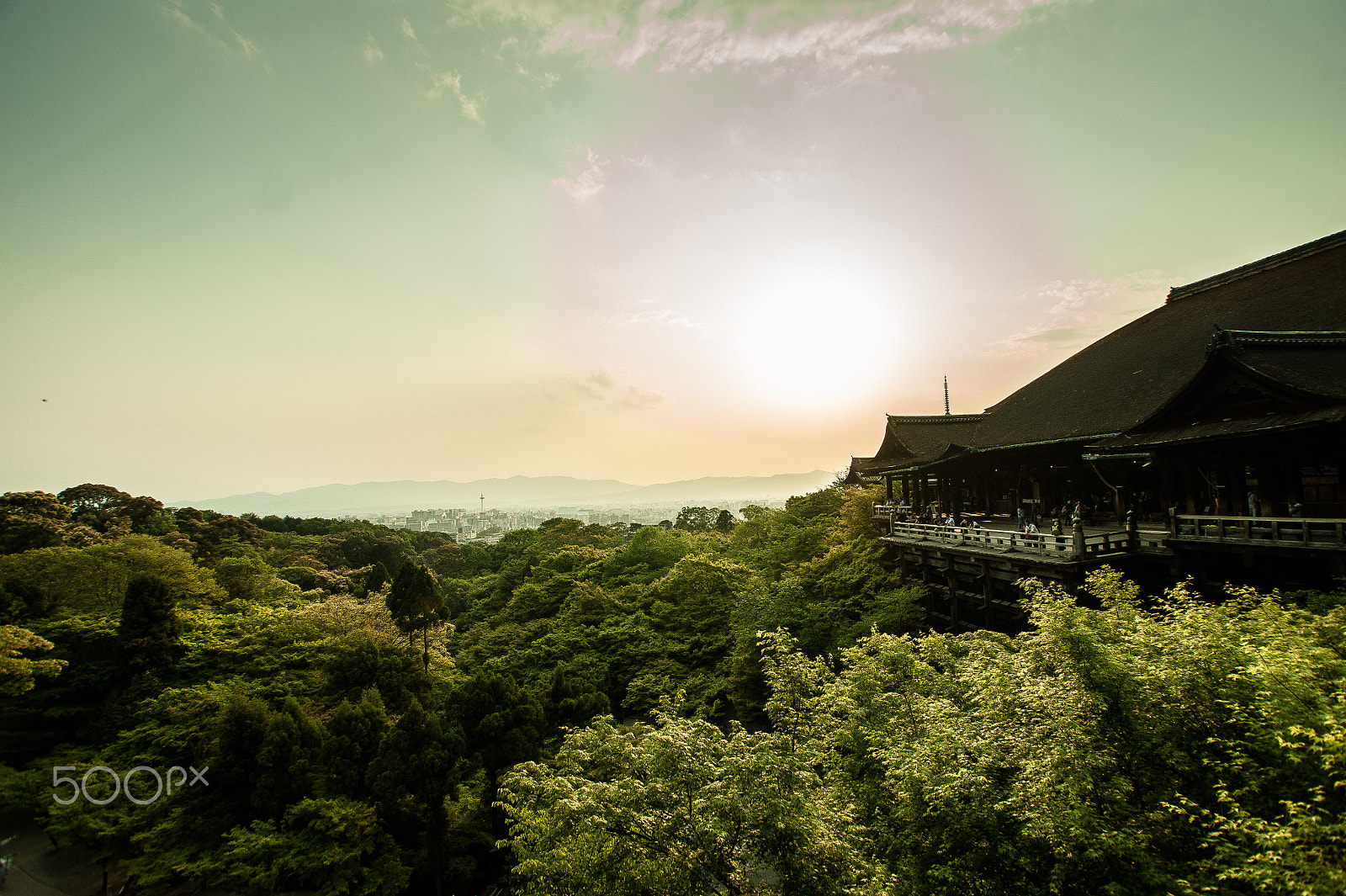 Sony Alpha DSLR-A350 sample photo. Japan2013jd photography