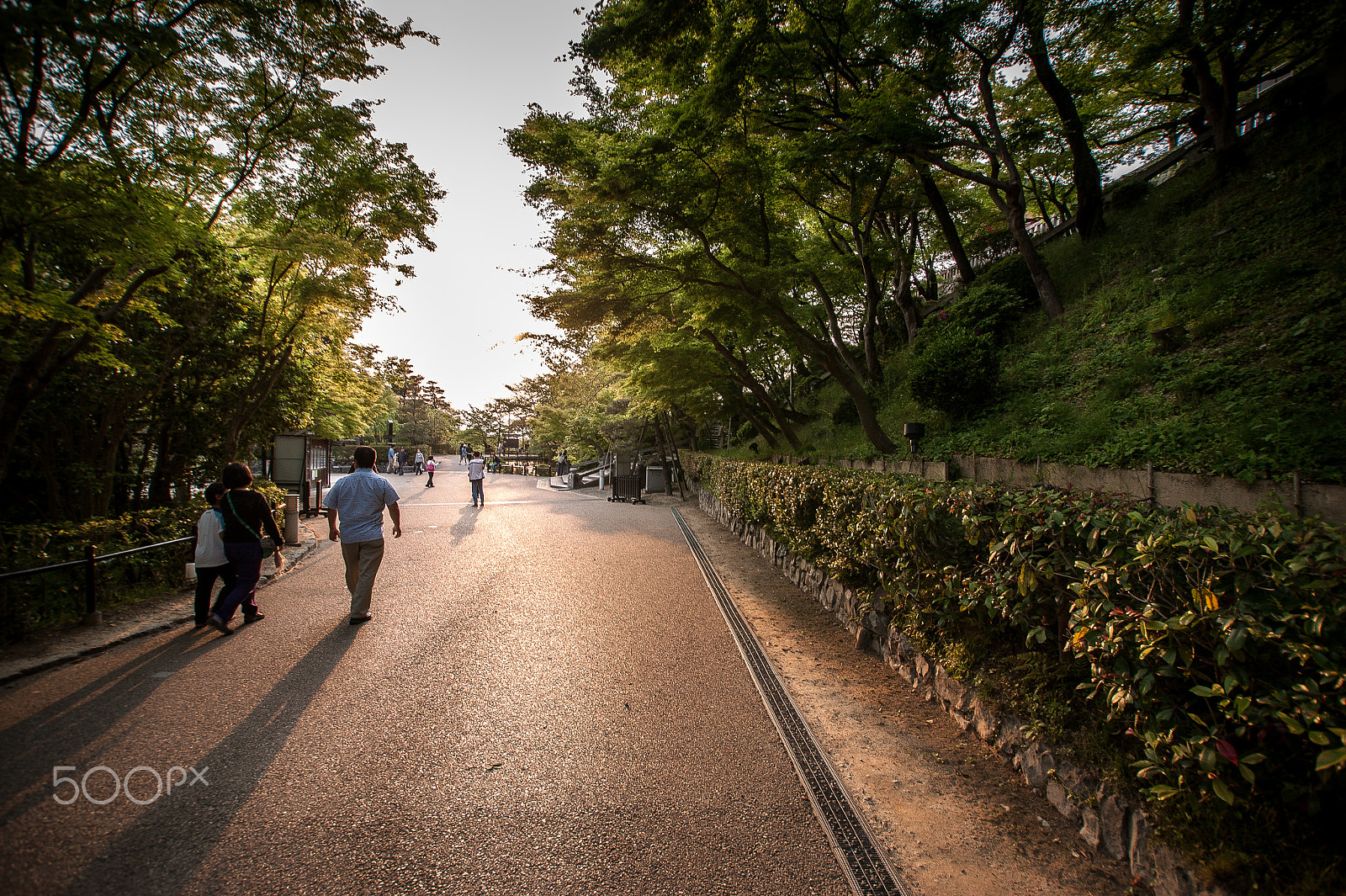 Sony DT 11-18mm F4.5-5.6 sample photo. Japan2013jd photography
