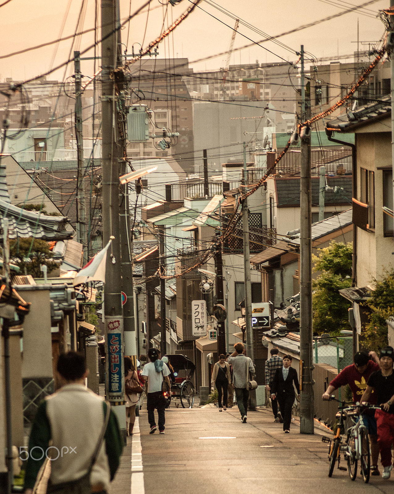 Sony DT 55-200mm F4-5.6 SAM sample photo. Japan2013jd photography