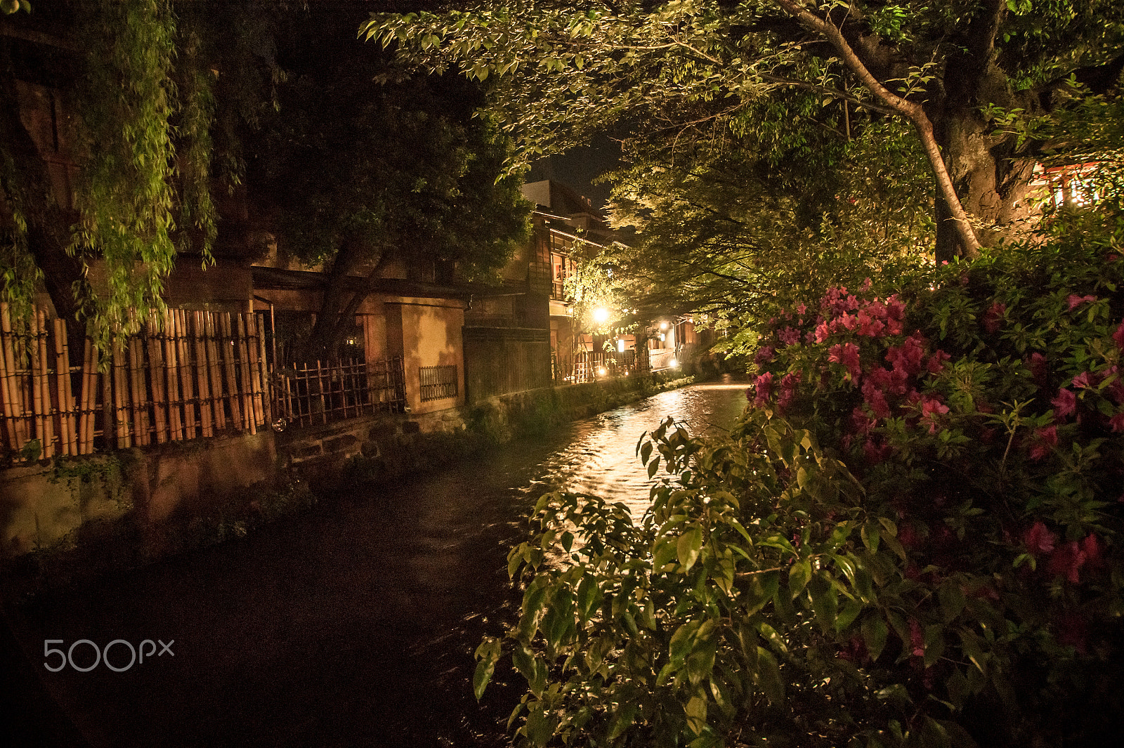 Sony DT 11-18mm F4.5-5.6 sample photo. Japan2013jd photography