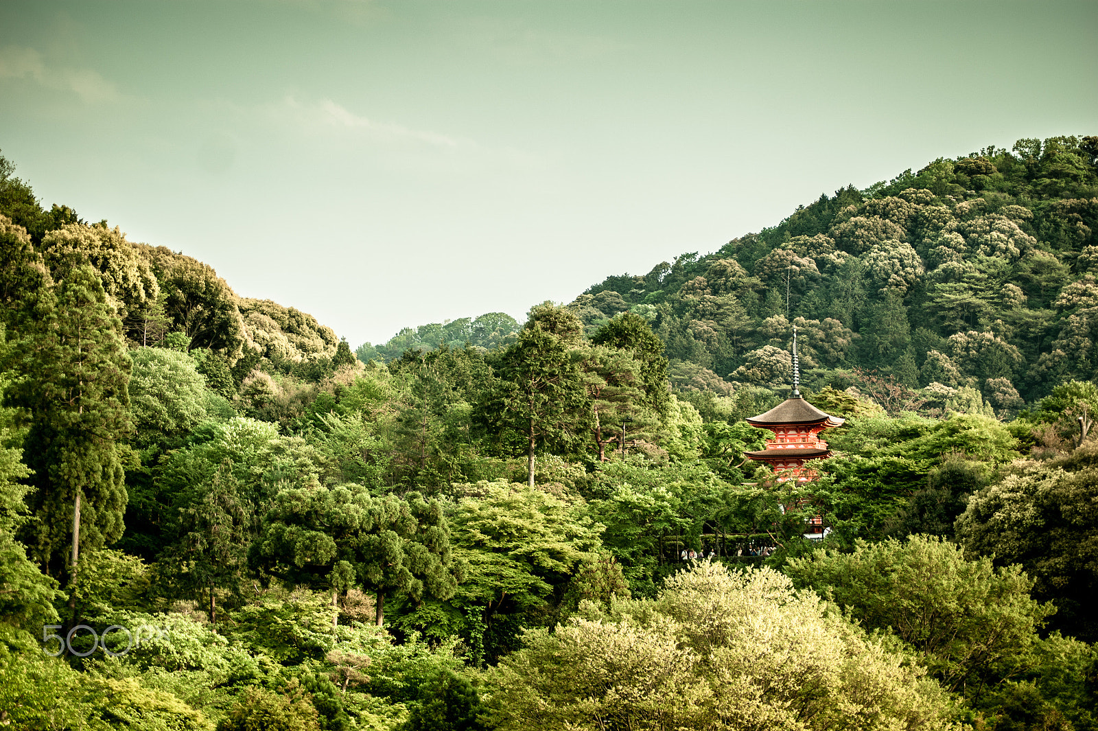 Sony Alpha DSLR-A350 + Sony DT 55-200mm F4-5.6 SAM sample photo. Japan2013jd photography