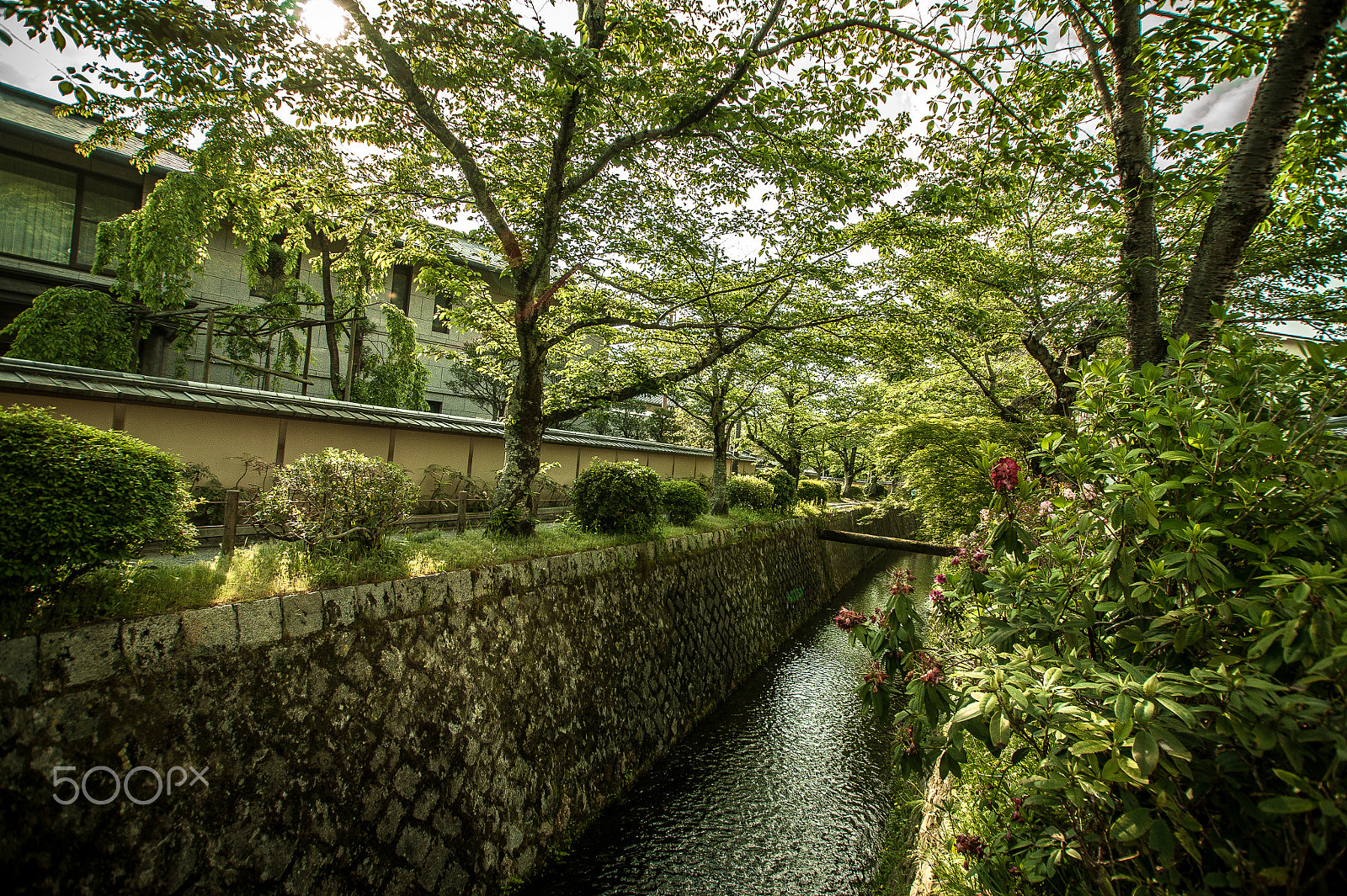 Sony DT 11-18mm F4.5-5.6 sample photo. Japan2013jd photography
