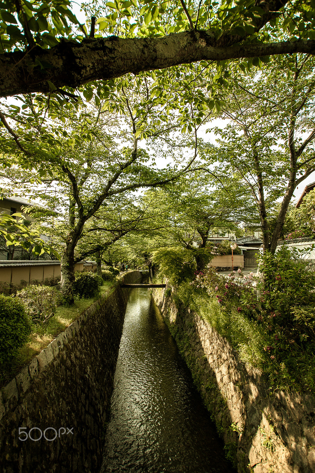 Sony Alpha DSLR-A350 sample photo. Japan2013jd photography