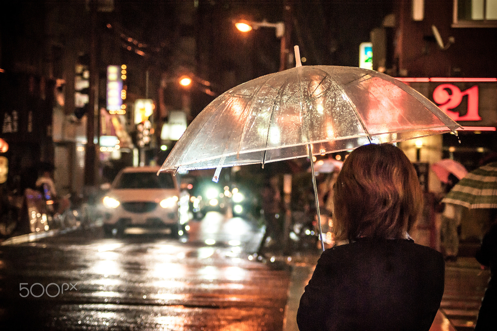 Sony Alpha DSLR-A350 sample photo. Japan2013jd photography