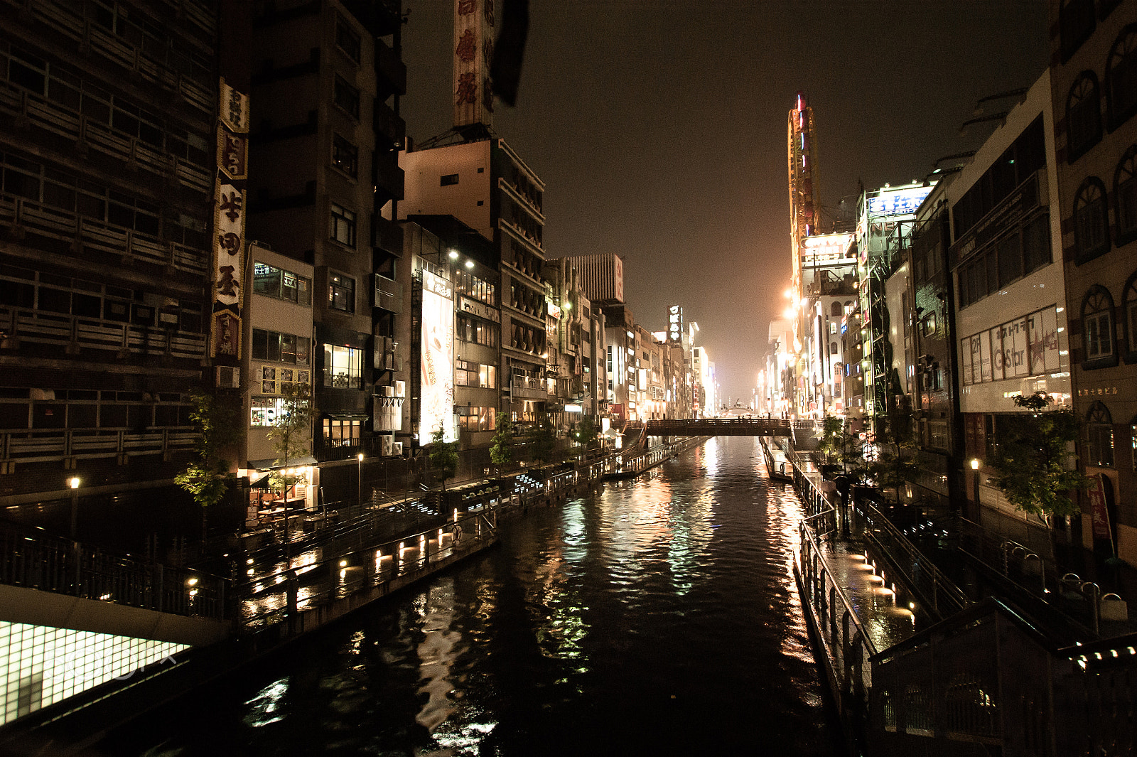 Sony DT 11-18mm F4.5-5.6 sample photo. Japan2013jd photography