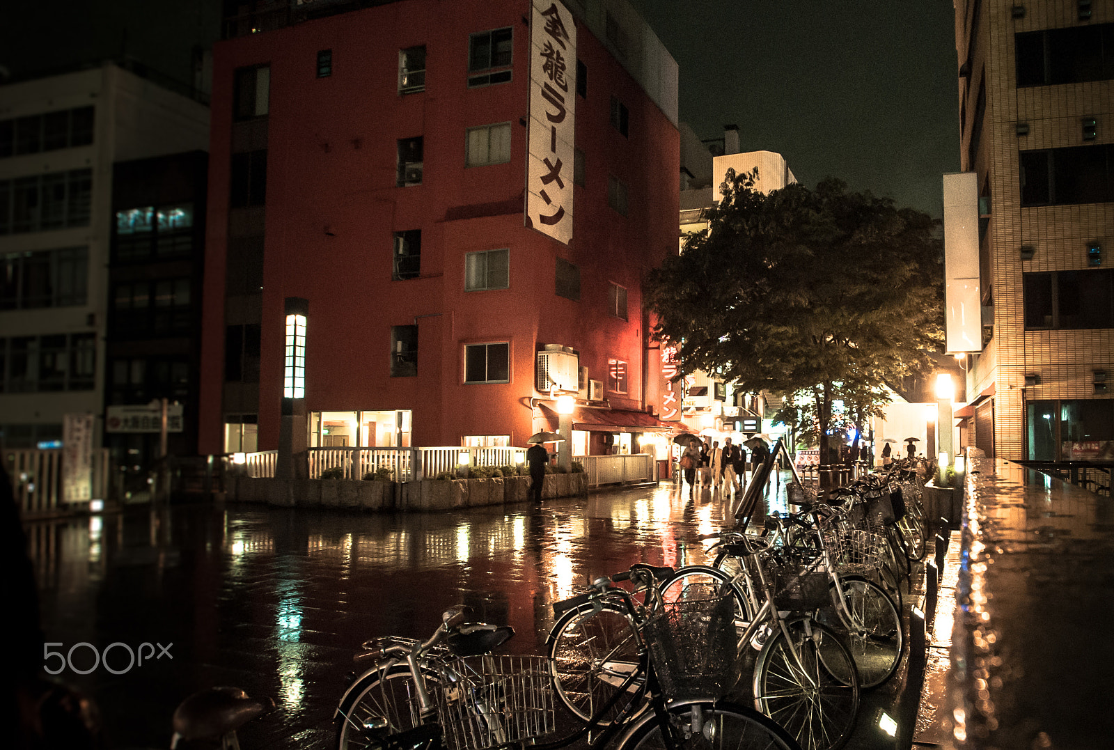 Sony DT 11-18mm F4.5-5.6 sample photo. Japan2013jd photography