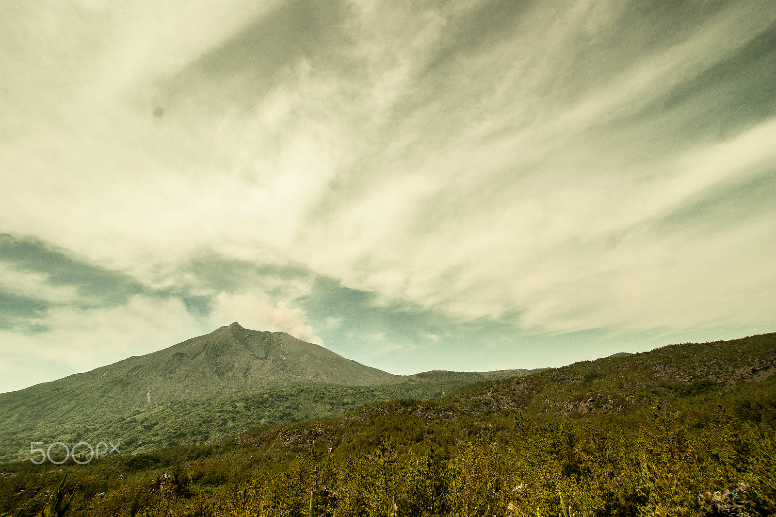 Sony DT 11-18mm F4.5-5.6 sample photo. Japan2013jd photography
